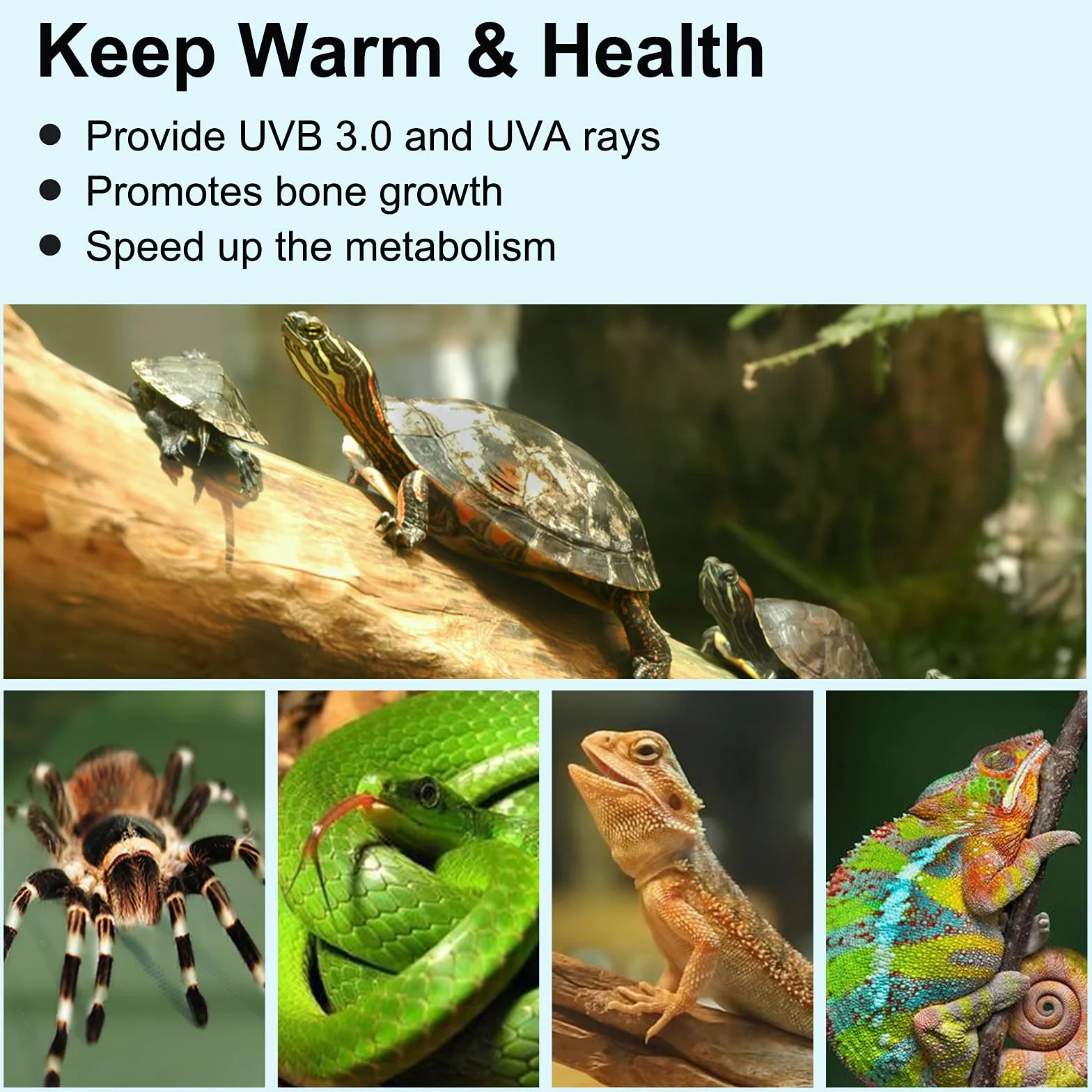 Lampe Chauffante Tortue Reptiles et Amphibiens avec 2 Ampoules Basking Spot UVA UVB et Pince Pivotante 360°
