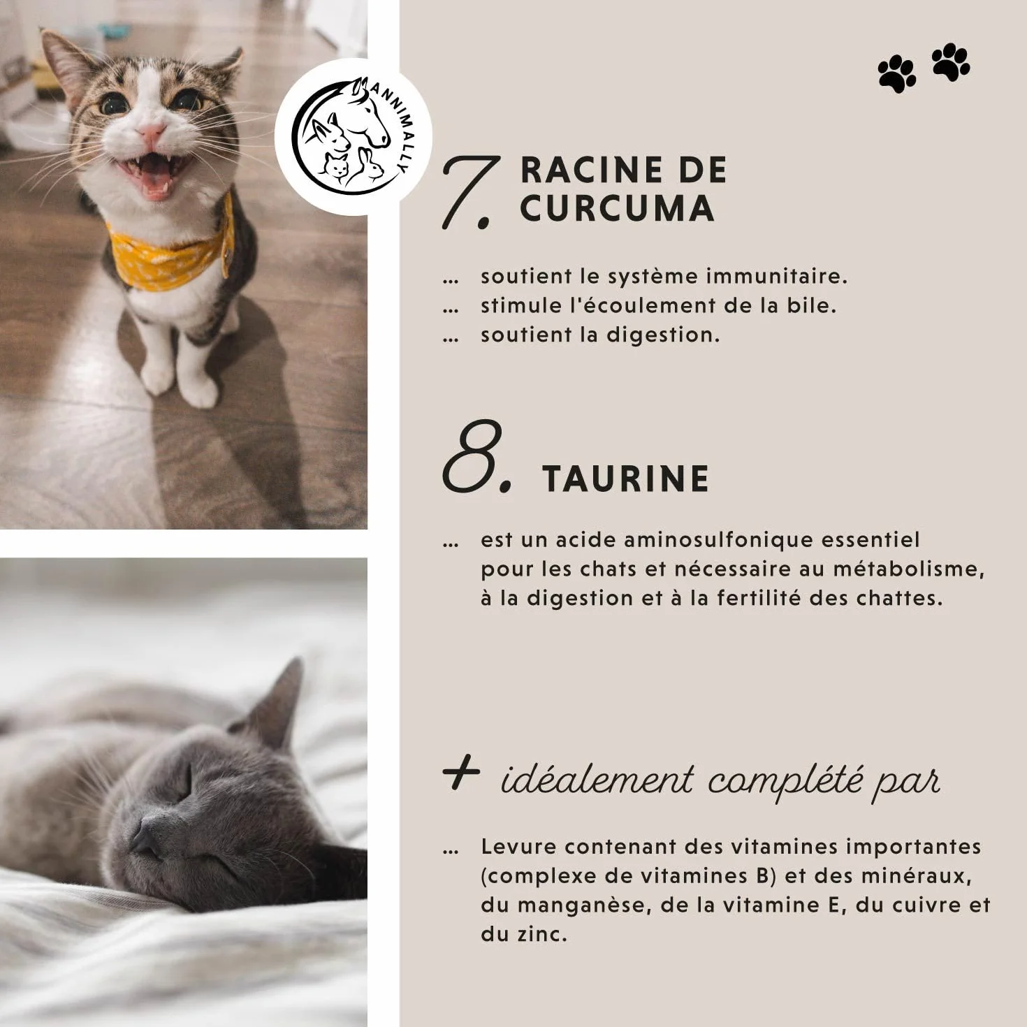 Annimally Poudre pour les Articulations pour Chats 120g – Complément Articulaire avec Moule Verte, MSM, Griffe du Diable, Taurine, Glucosamine