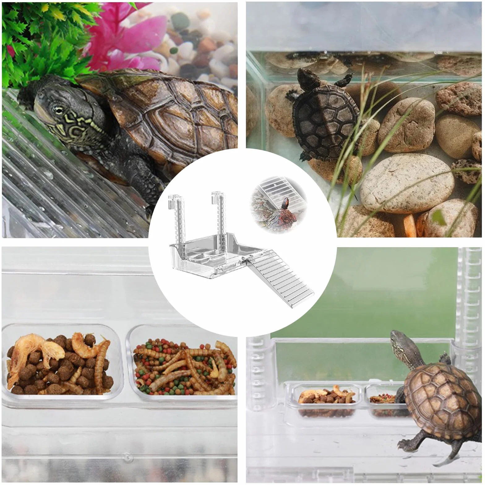Plate Forme De Repos Suspendue pour Tortues Petits Reptiles
