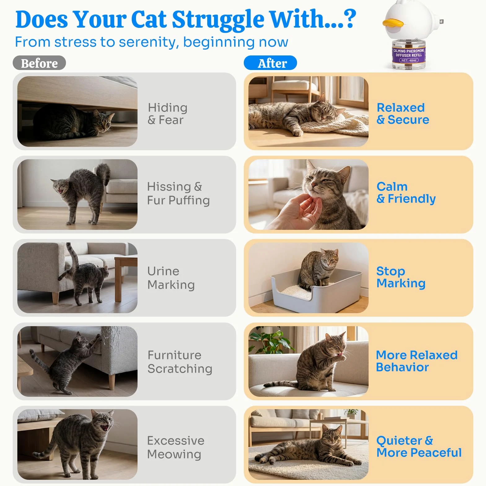 Diffuseur apaisant pour chat d'intérieur : soutien apaisant inspiré des phéromones aide à promouvoir un comportement détendu et un confort émotionnel – Diffuseur à brancher sans médicament pour un