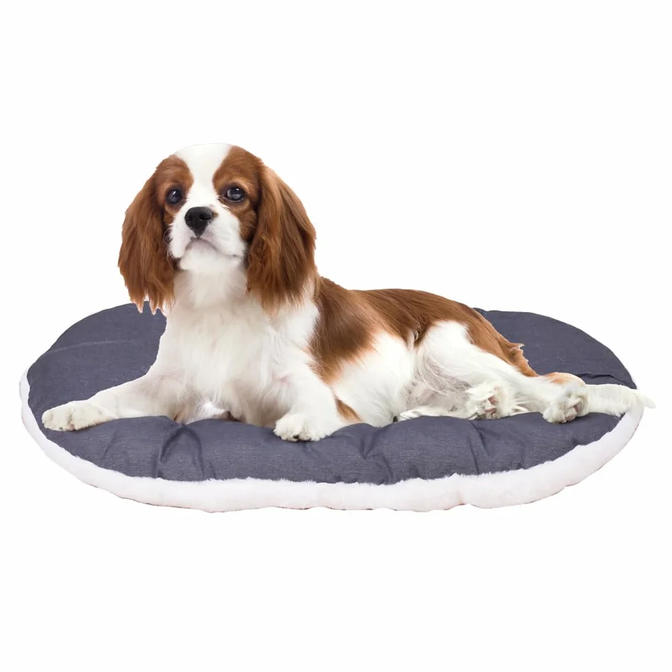 Ferplast Panier Chien Lavable Tapis 65x42 cm Coton Beige