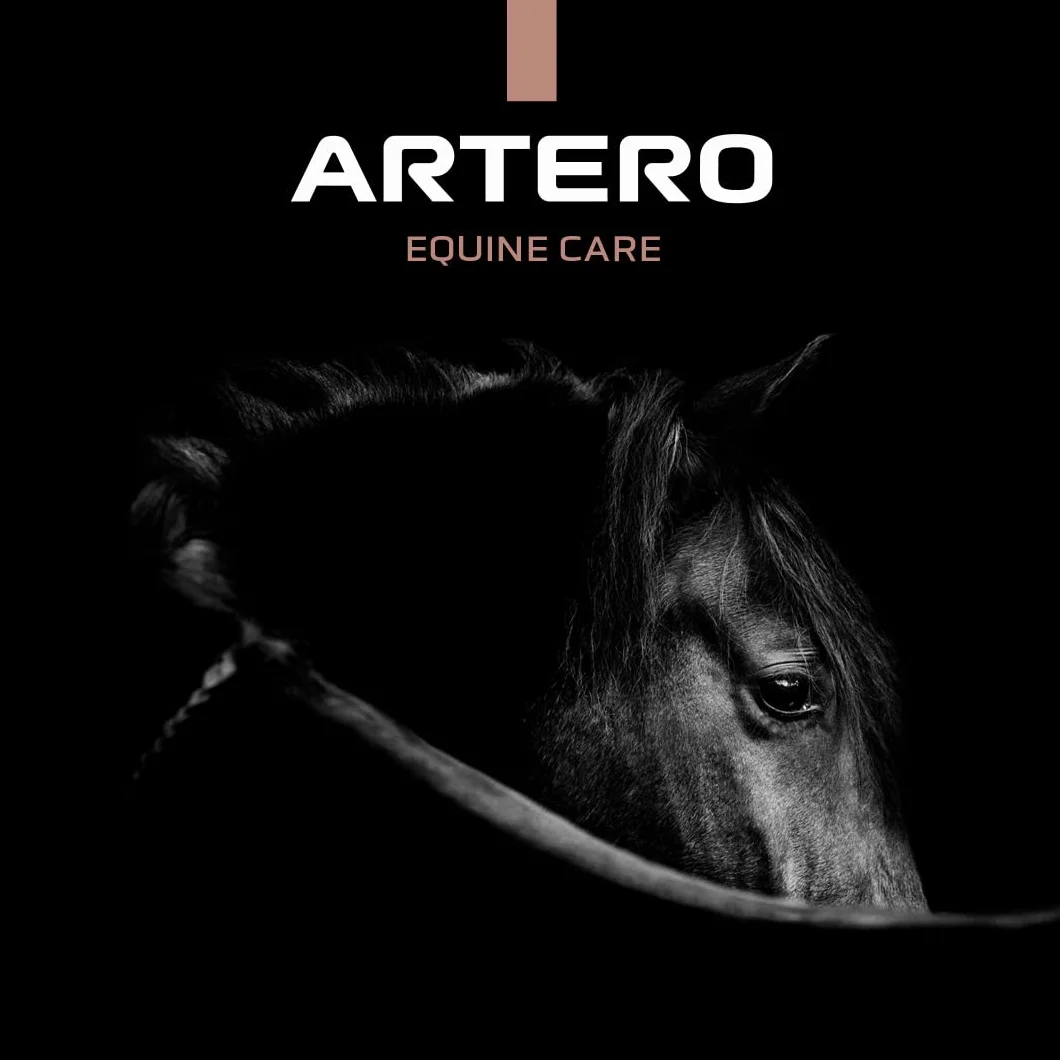 Artero Bops Gants de nettoyage humides pour cheval enlever poussière taches