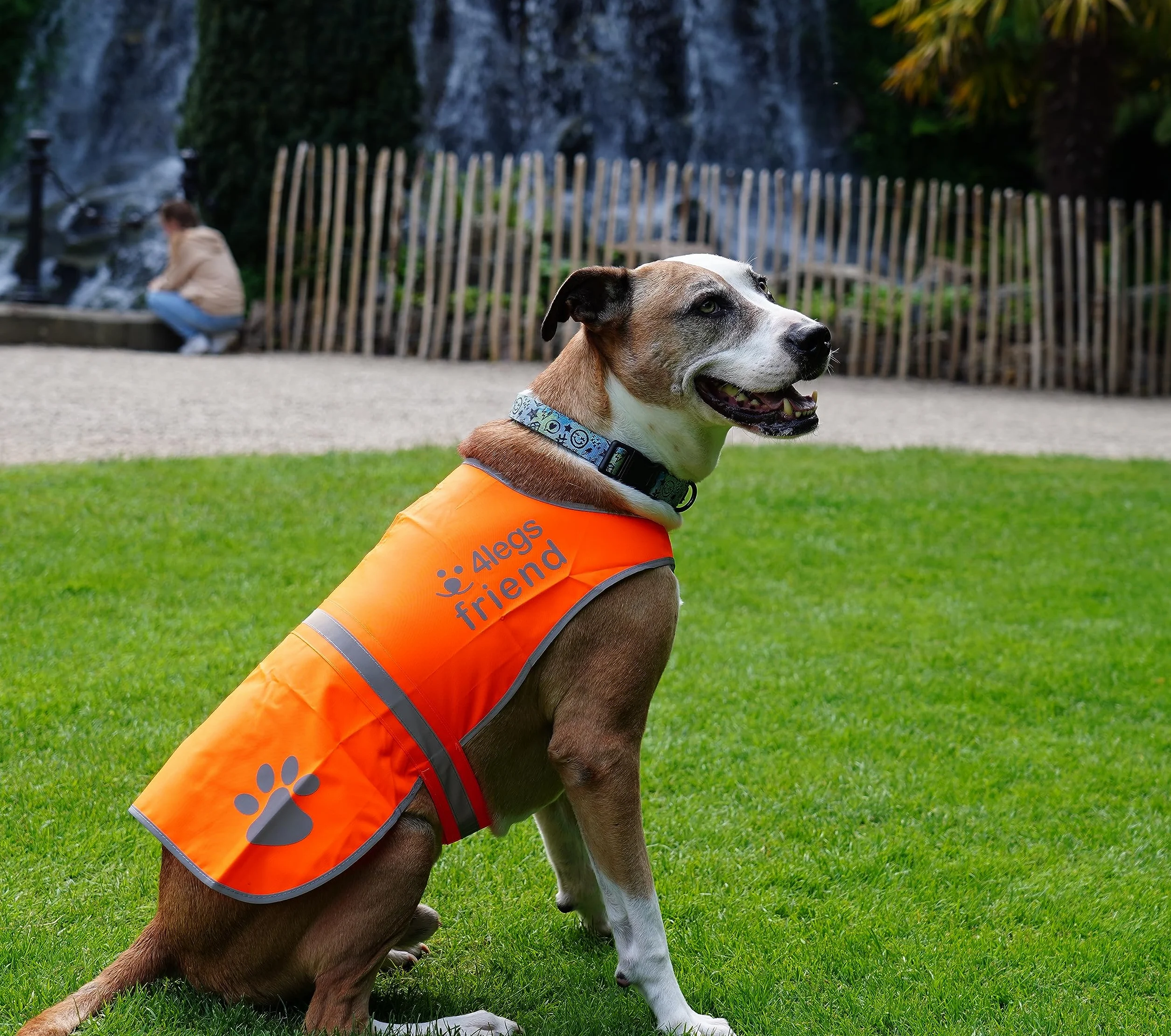 Gilet de Sécurité Réfléchissant pour Chien 5 Tailles Haute Visibilité Jour et Nuit