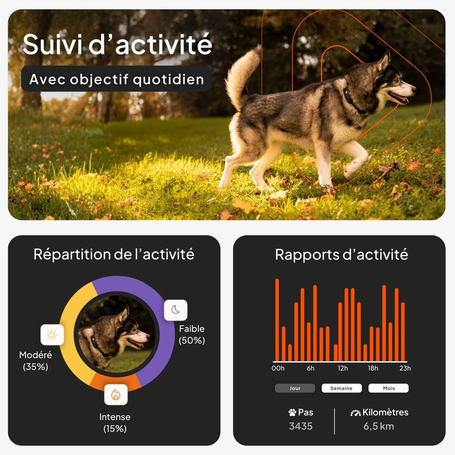 Weenect Chien XT GPS Collier Chien Antenne XL Etanche Julius-K9 Noir
