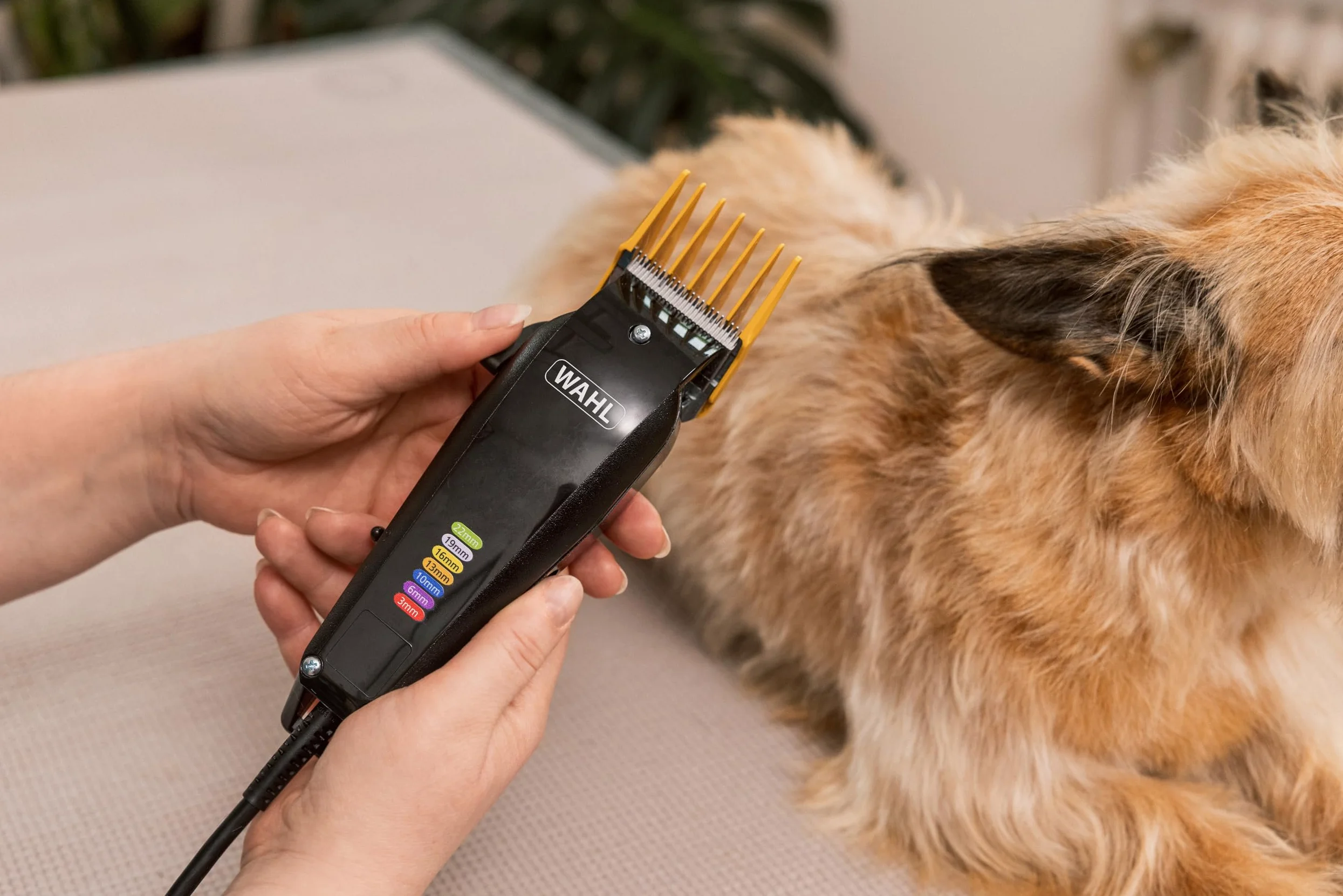 WAHL Multi Cut Animal - tondeuse pour chiens, silencieuse, filaire, lames affûtées avec précision + WAHL Medium Slicker - brosse de toilettage, brosses pour animaux à poils longs ou courts
