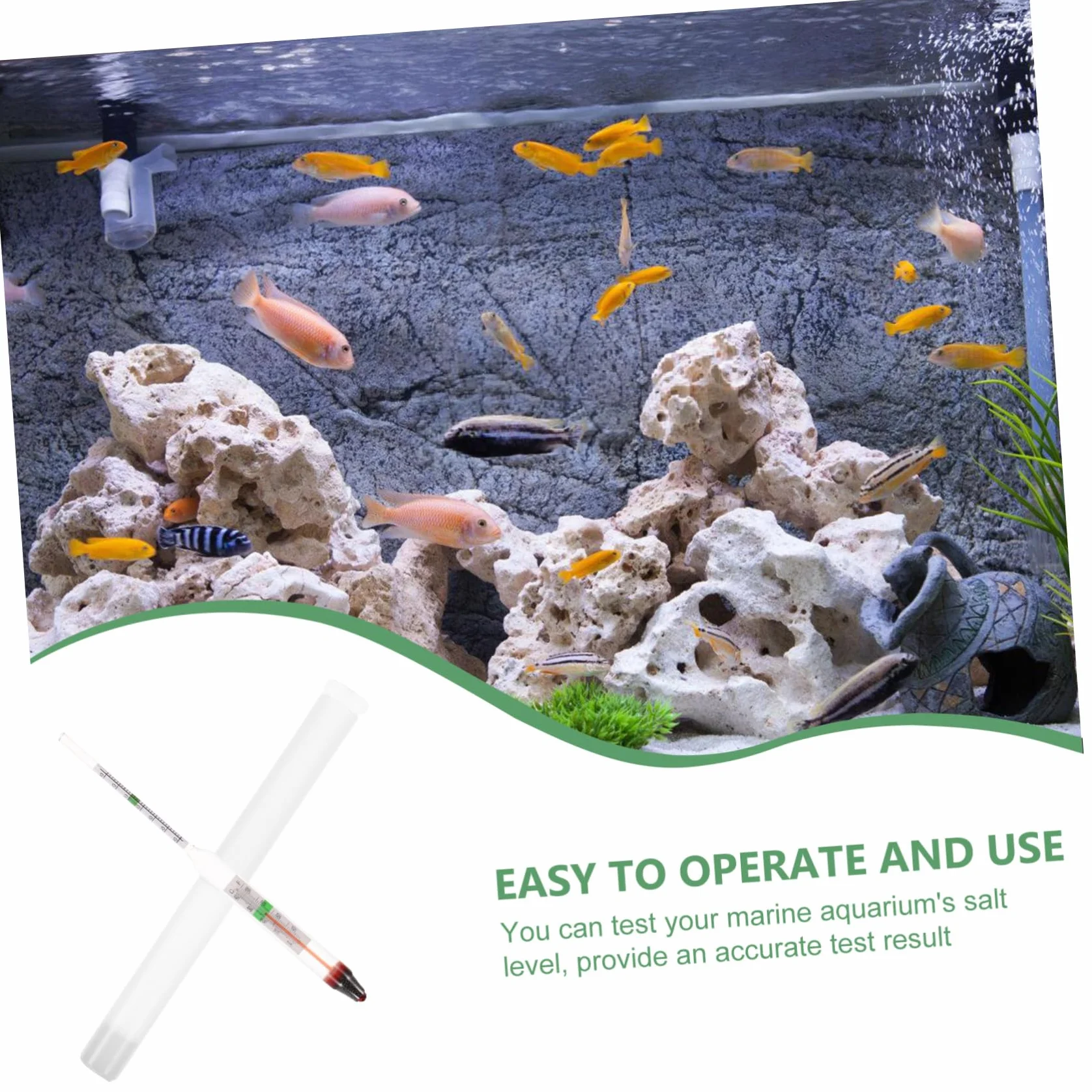 UPKOCH Hydromètre numérique salinité eau de mer pour Aquarium