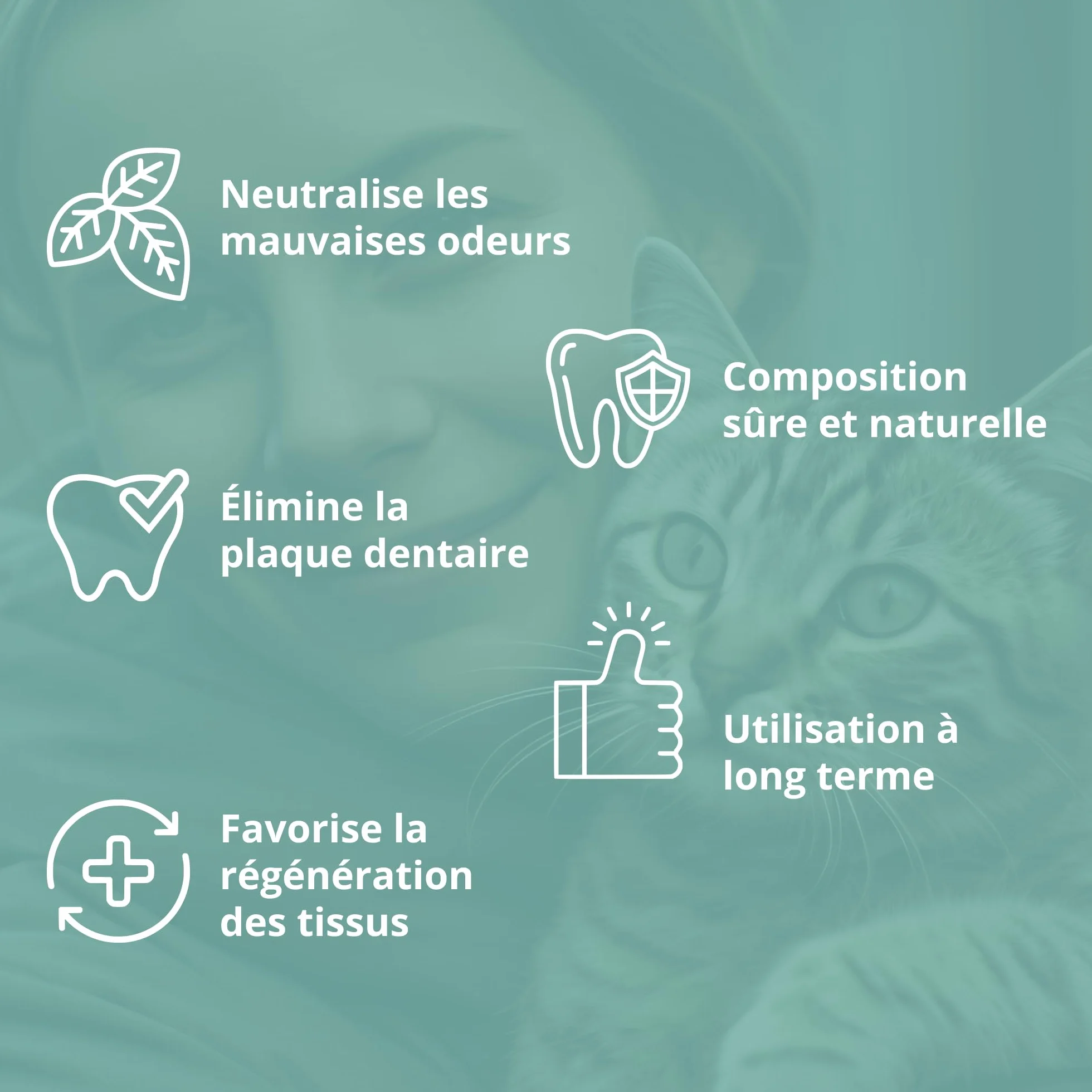 Spray Dentaire Professionnel pour Chiens et Chats – Élimine le Tartre et Mauvaise Haleine – 100 ML