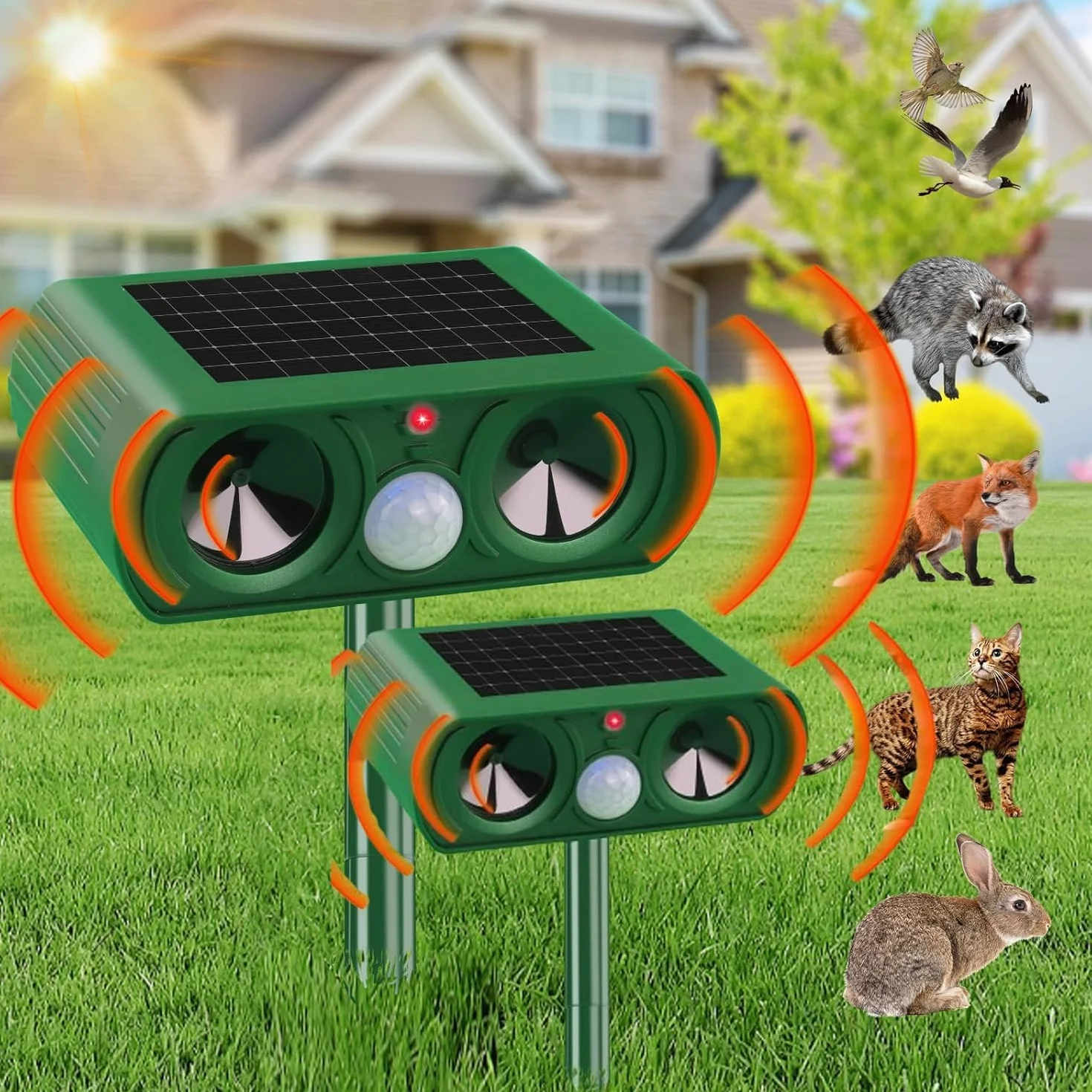 Repulsif Chat Exterieur Solaire Pack de 2 Ultrason Repousse Chats Oiseaux Renards Ratons laveurs Lapins Rongeurs