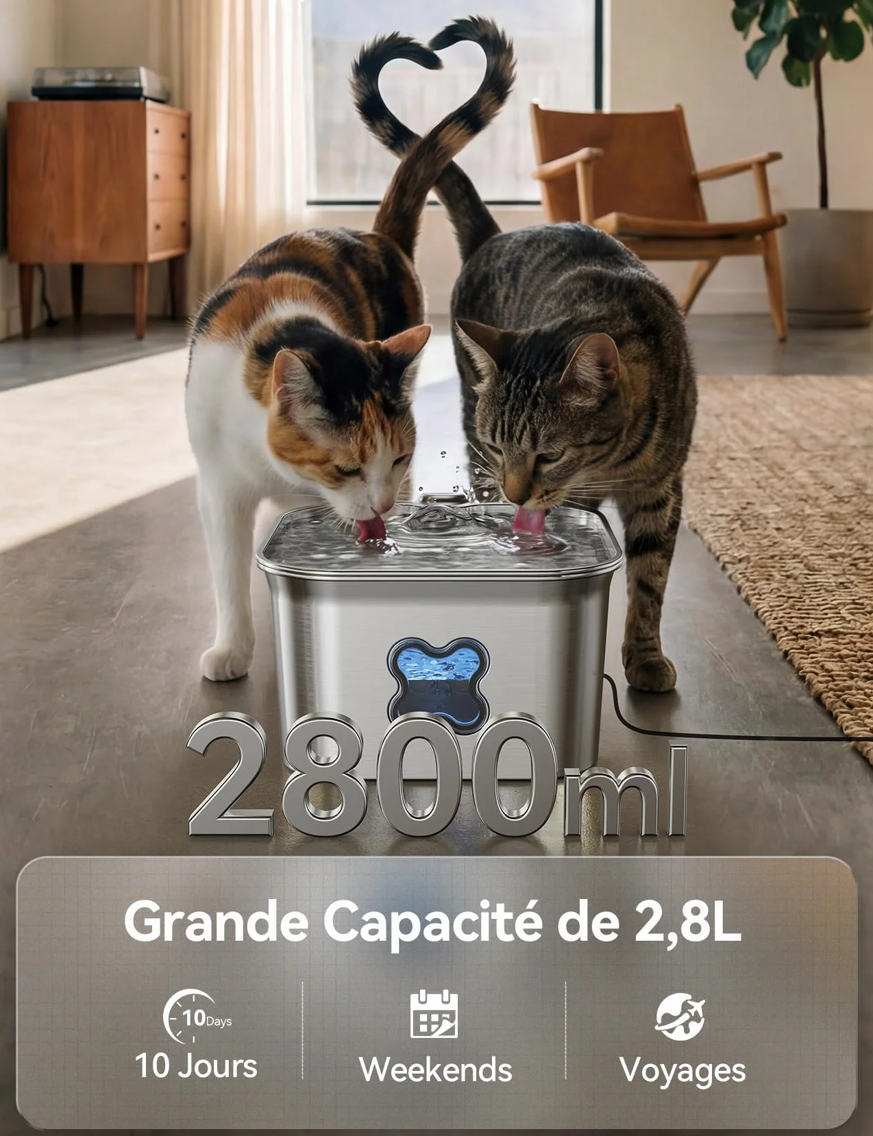 Fontaine à Eau pour Chat INOX 2,8L avec Système de Quadruple Filtration Silencieux