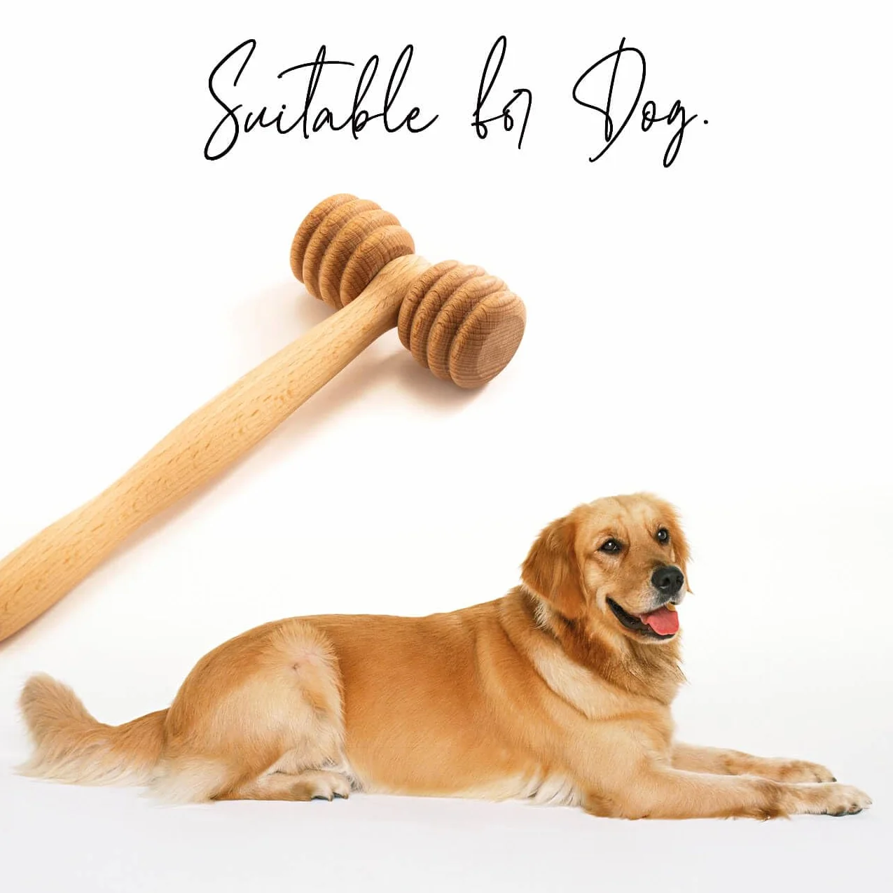 Masseur en Bois pour Animaux Rouleau de Massage Chien Chat Cheval Brosse Poils Courts Longs