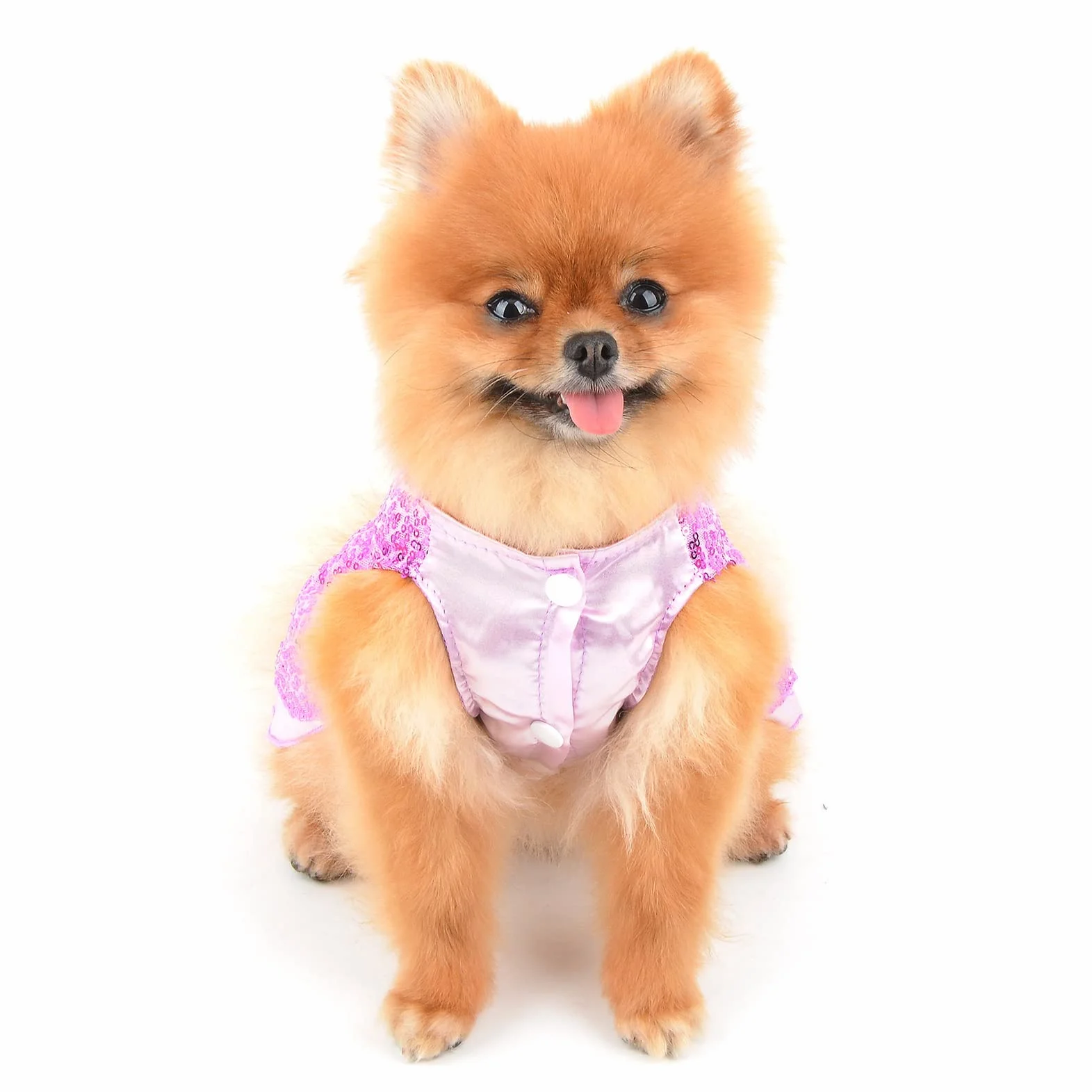 Robe Harnais à Paillettes métalliques pour Chien, avec Anneau en D, Fuchsia, M