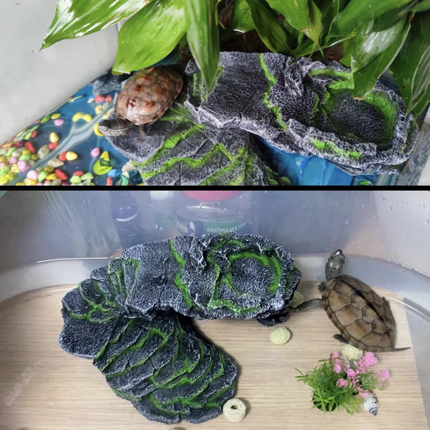 Cachette Reptile Plate-Forme pour Tortue Rocher Grotte Gécko Habitat Décoration de Terrarium Basking Ornement d'aquarium