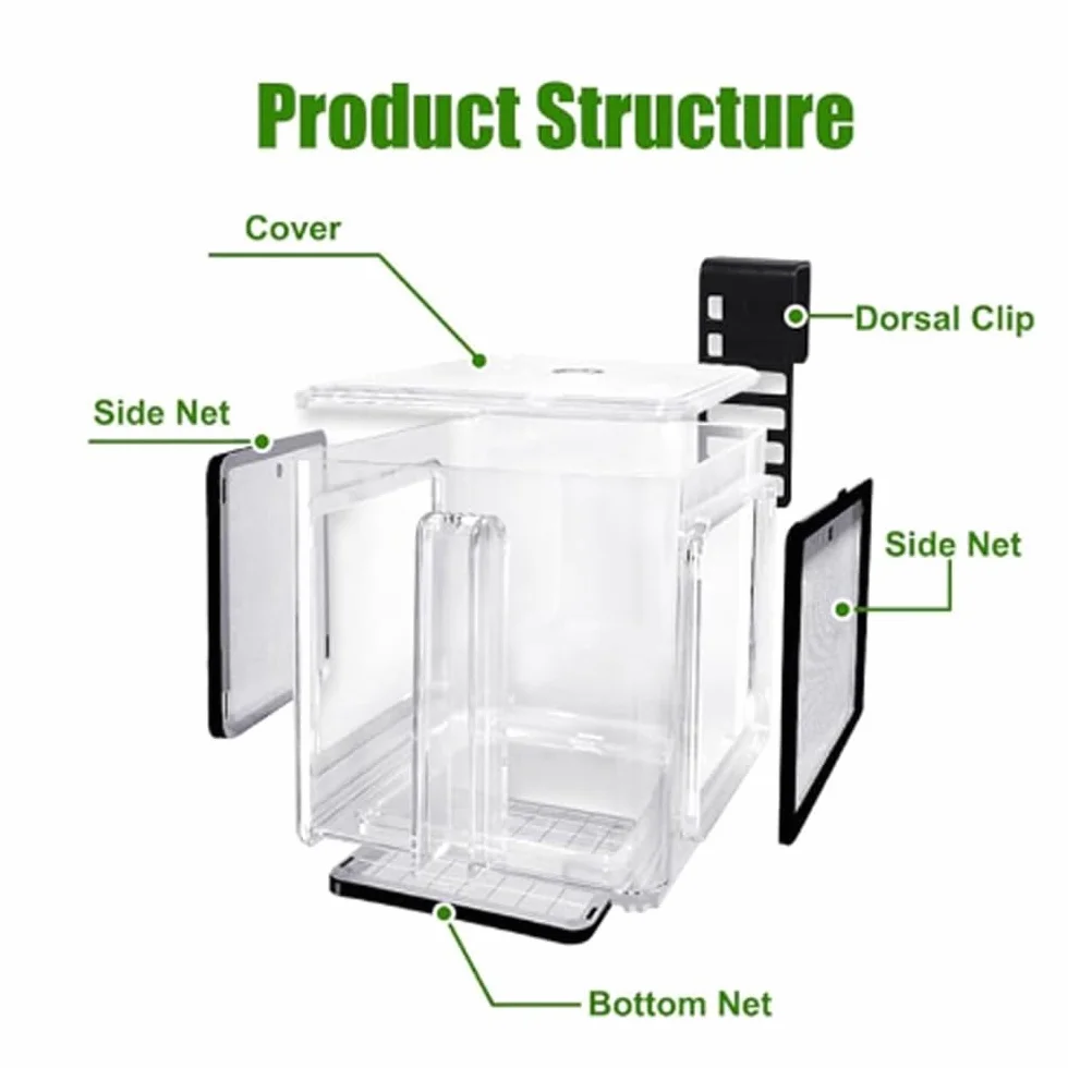 Boîte d'élevage de Poissons de mer en Acrylique Transparent, réservoir d'aquarium Amovible pour bébés Poissons