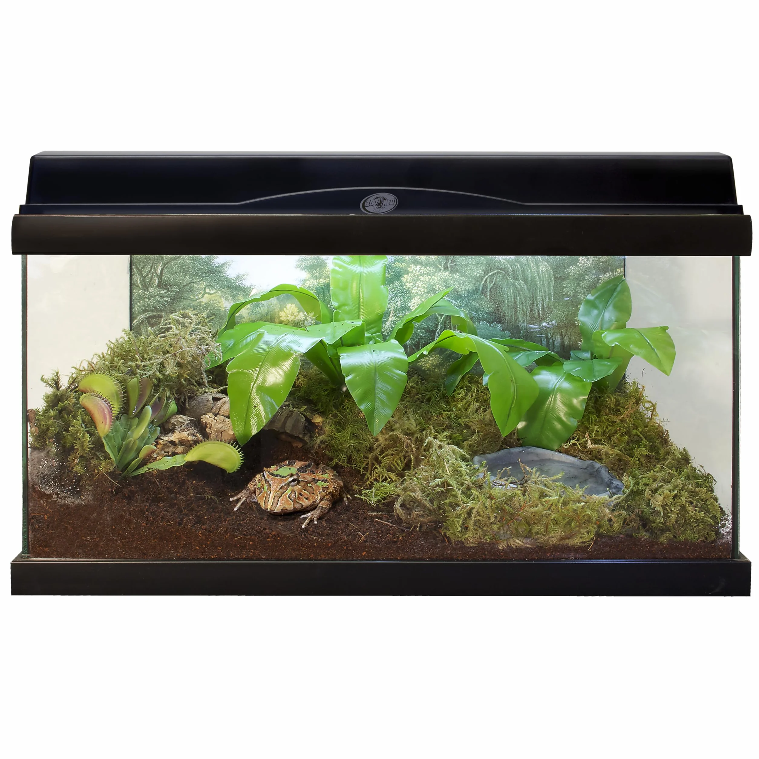 Zoomed Eco Earth 3 Pack