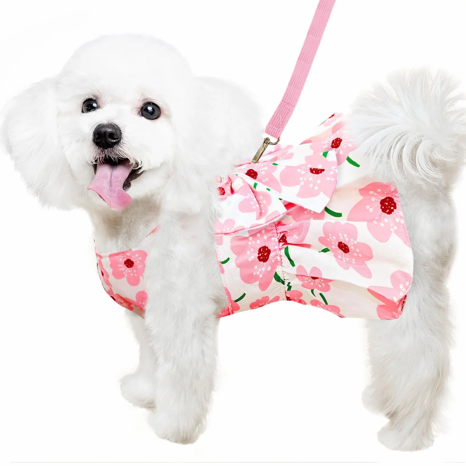 Robe Harnais pour Chien avec Laisse pour Petit Chien Jupe Respirante (L)