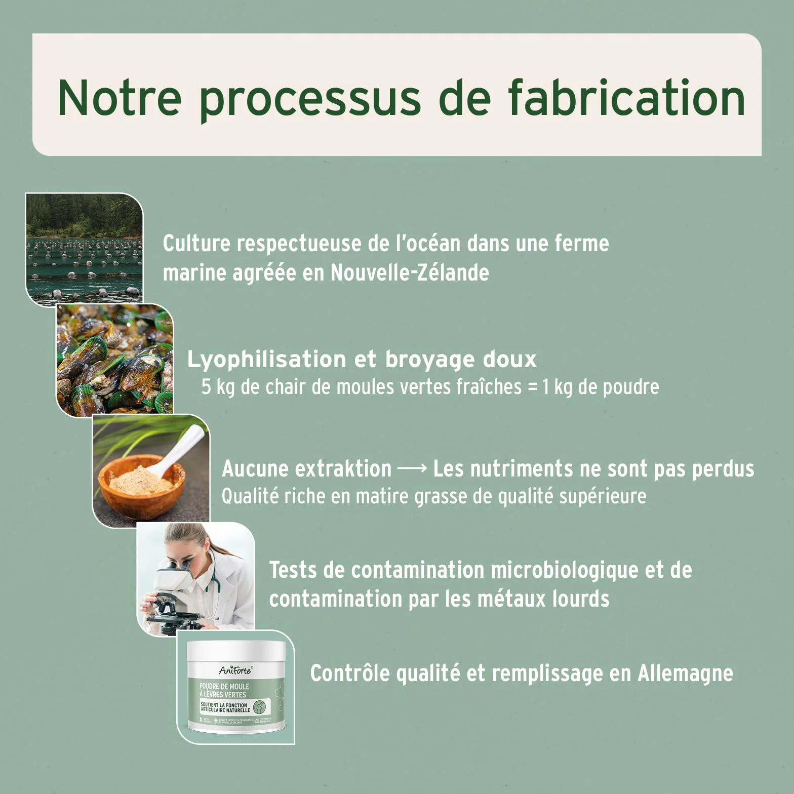 AniForte Poudre de Moules aux Orles Vertes 250 g pour Chiens & Chats – Soutien des Articulations