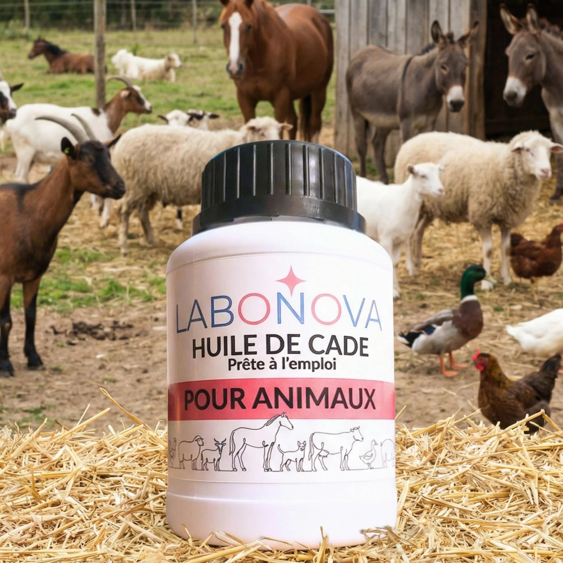 Huile de cade prête à l'emploi pour animaux 250 ml - Soins peau, pieds, sabots