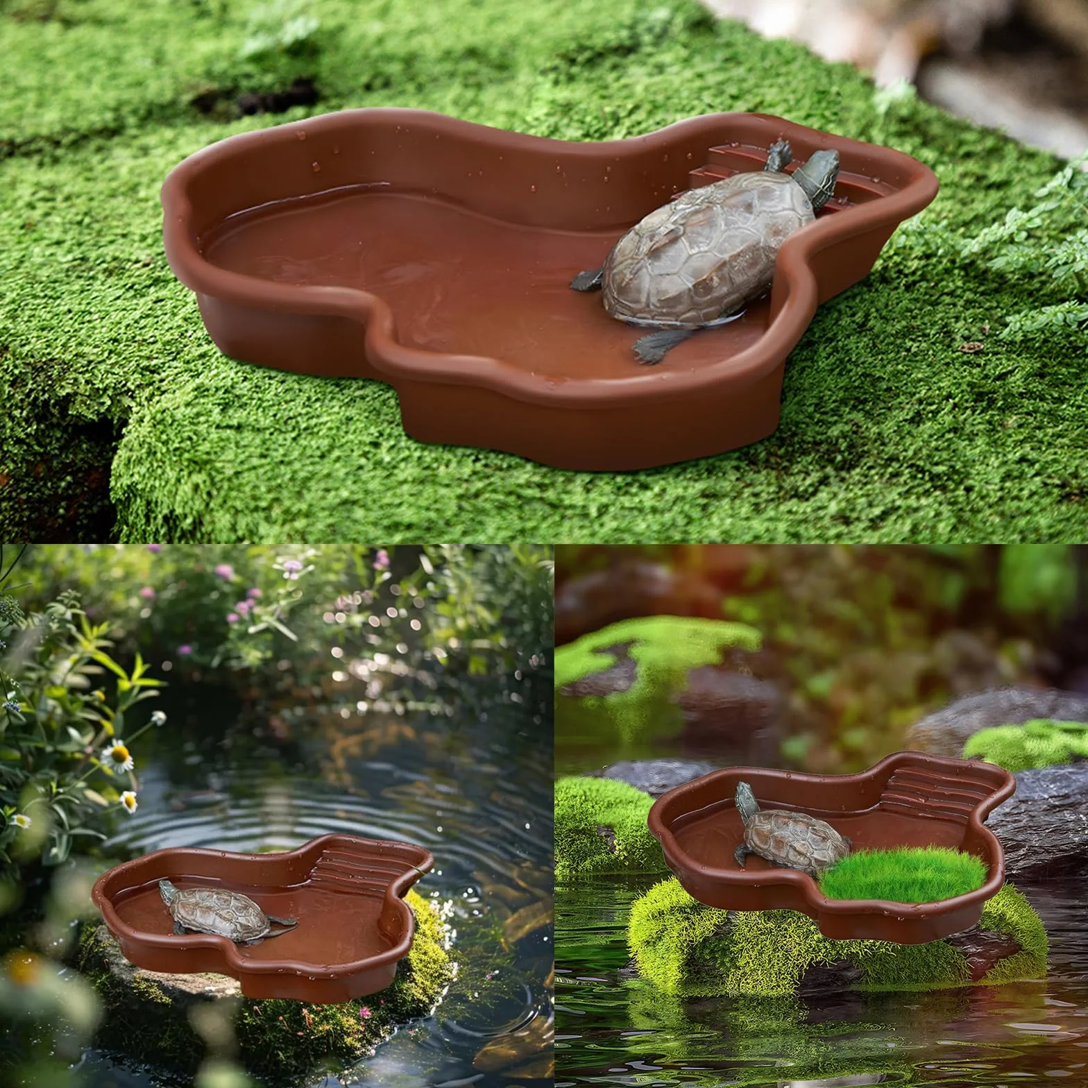 Bol de Bain pour Tortues Reptiles Grand Plat d'Eau Amphibiens