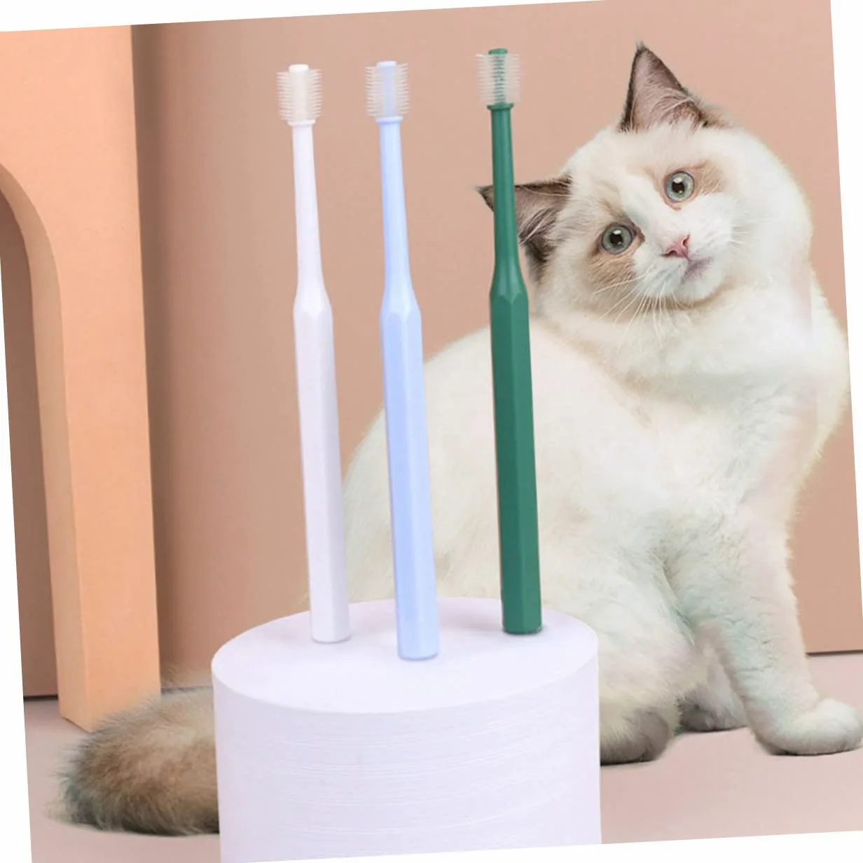 FRCOLOR 12pièces Kit De Brosses à Dents Pour Animaux Brosse à Dents Douce Pour Chiens Et Chats Nettoyage Oral Ergonomique Et Pratique Degrés Couleur Verte Et Blanche