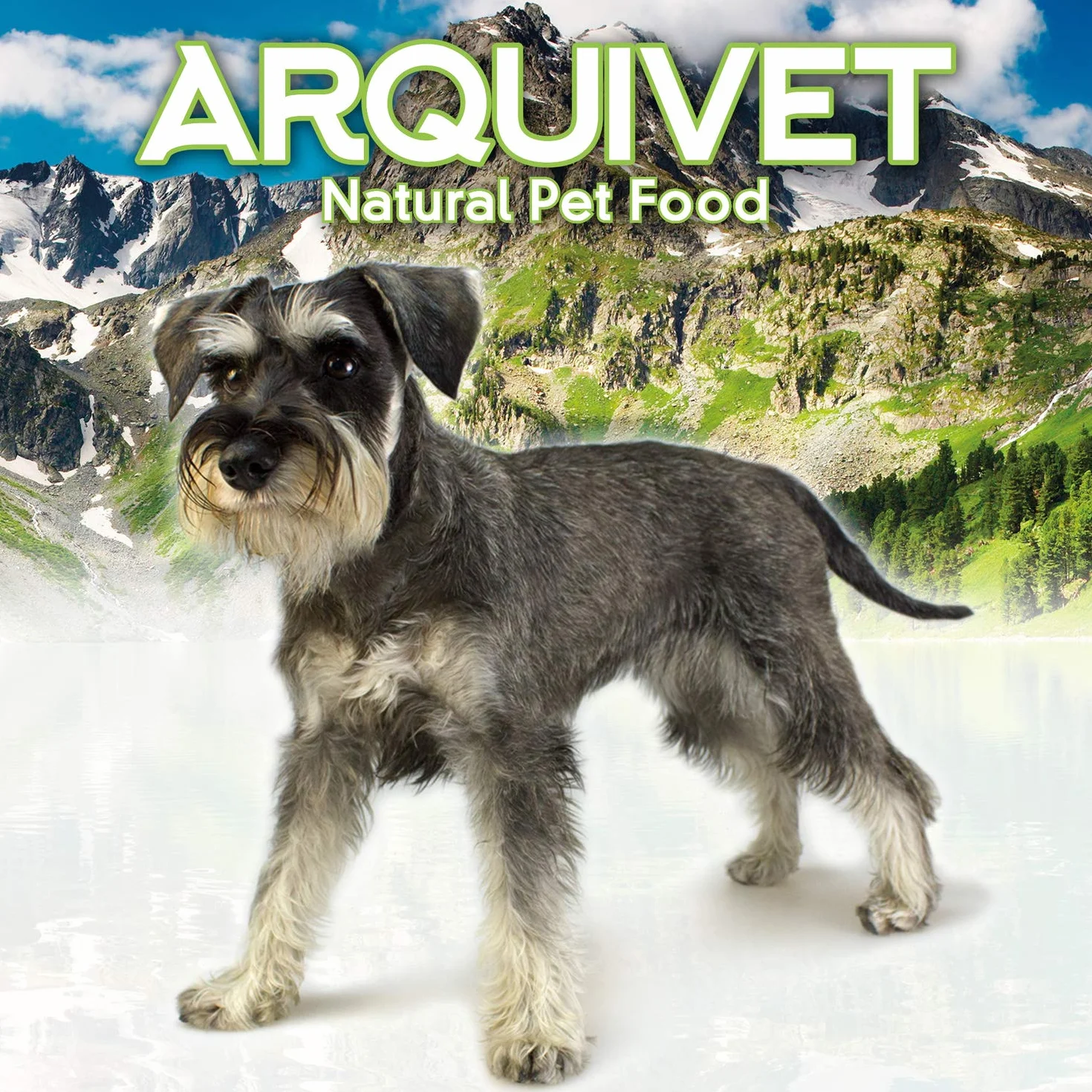 ARQUIVET Arquibone Bœuf 12,5 cm 95 g Grand os pour Chien Snack Naturel os à mâcher