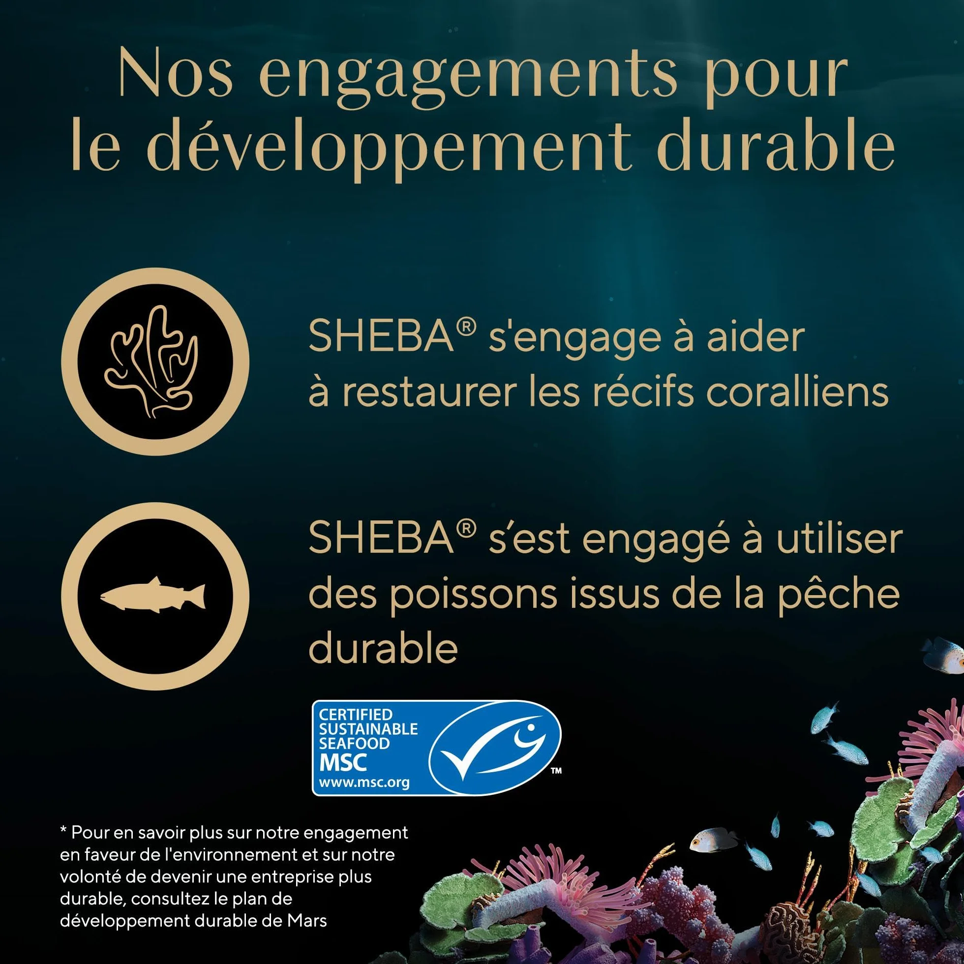 SHEBA Filets Nourriture pour Chat Adulte au Poulet et au Thon en Sauce, 32 x 60 g