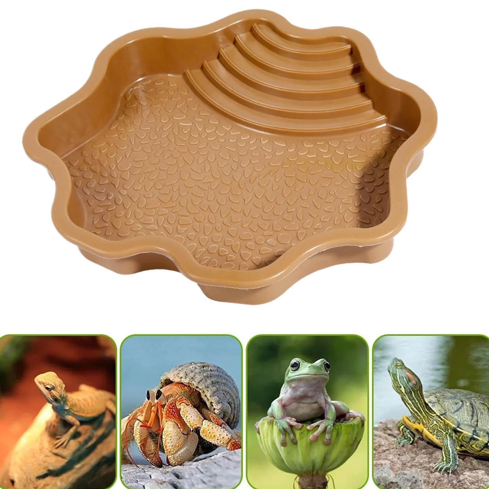 Piscine de Bain pour Reptiles – Bol d'eau et de Nourriture pour avec marches | Baignoire pour et Nourriture pour Gecko lézard Accessoires de décoration