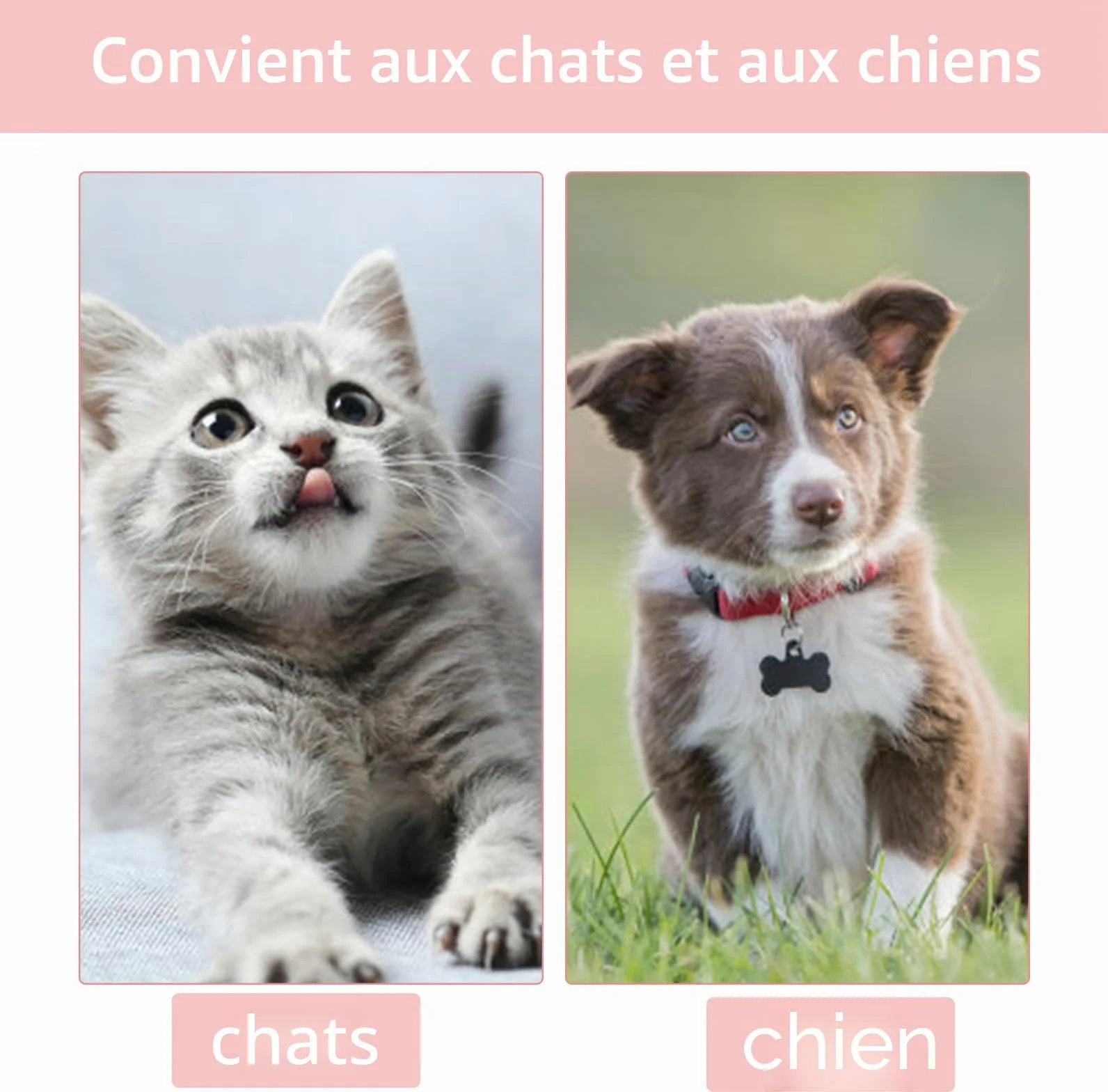 Colliers de protection pour chat anti-morsure Lot de 3 Taille M rose jaune orange