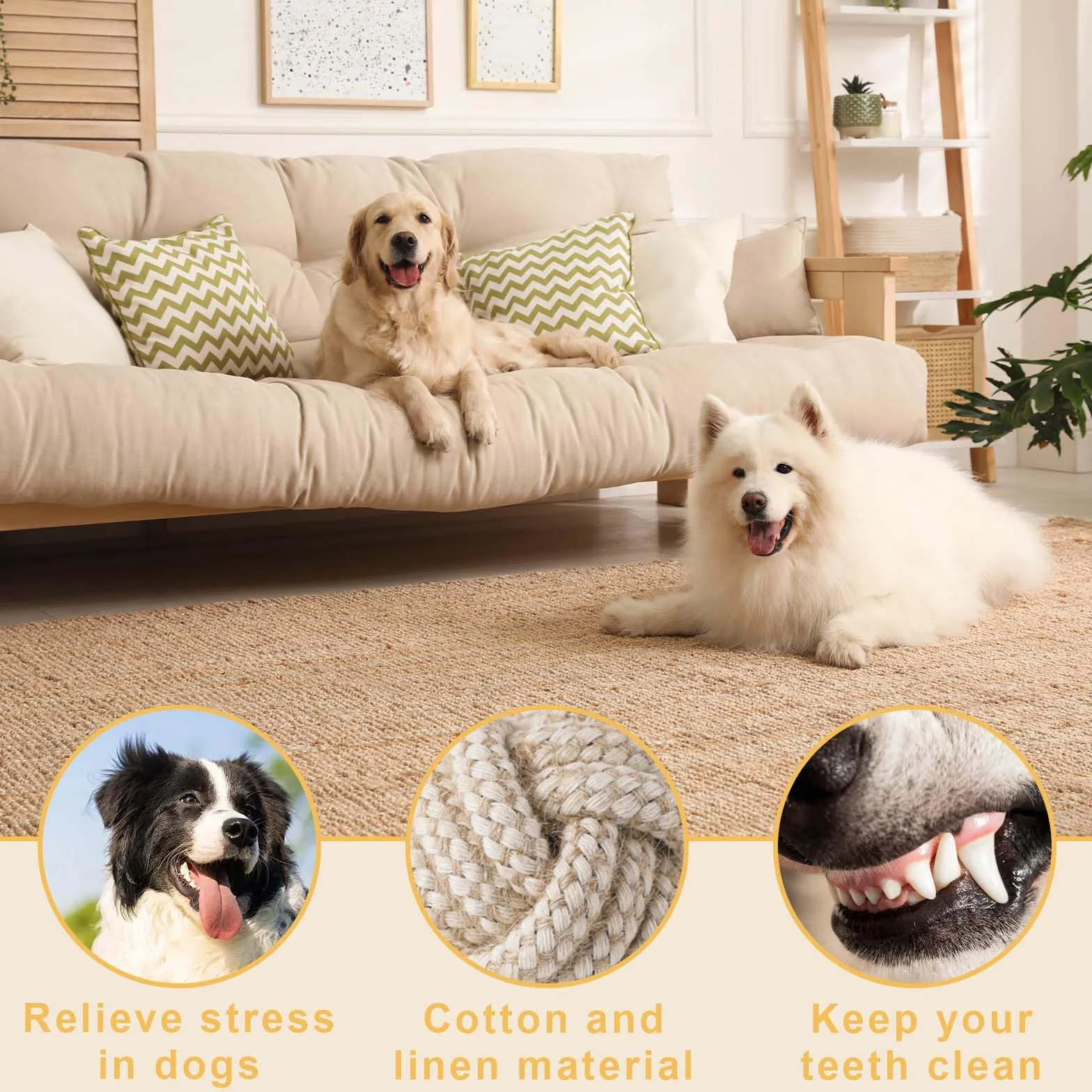 Jouet à mâcher en corde de coton pour chien, 6 pièces, interactif pour petits chiens