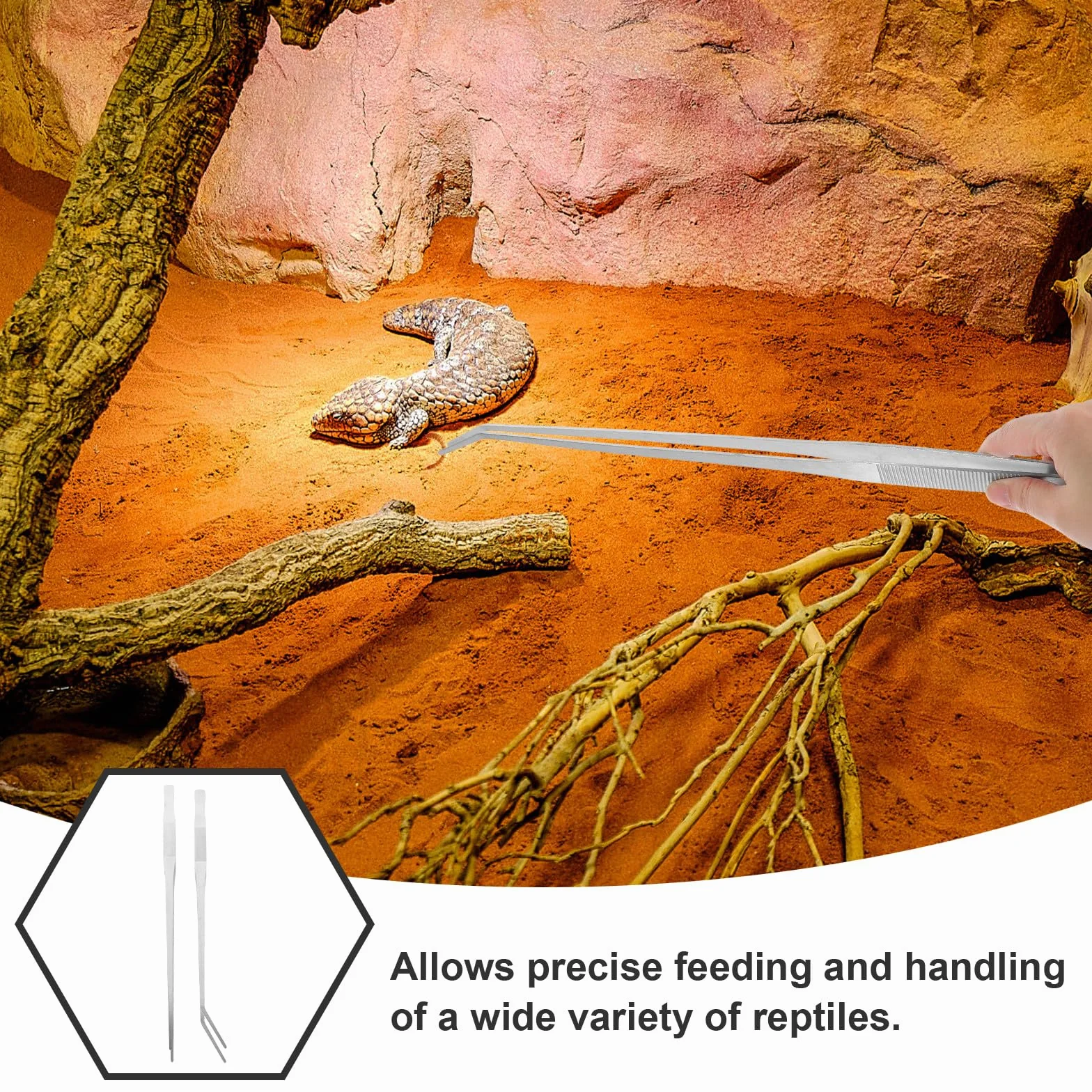 Pinces à Nourrir en Acier Inoxydable Extra Longues 48 cm pour Reptiles Terrarium