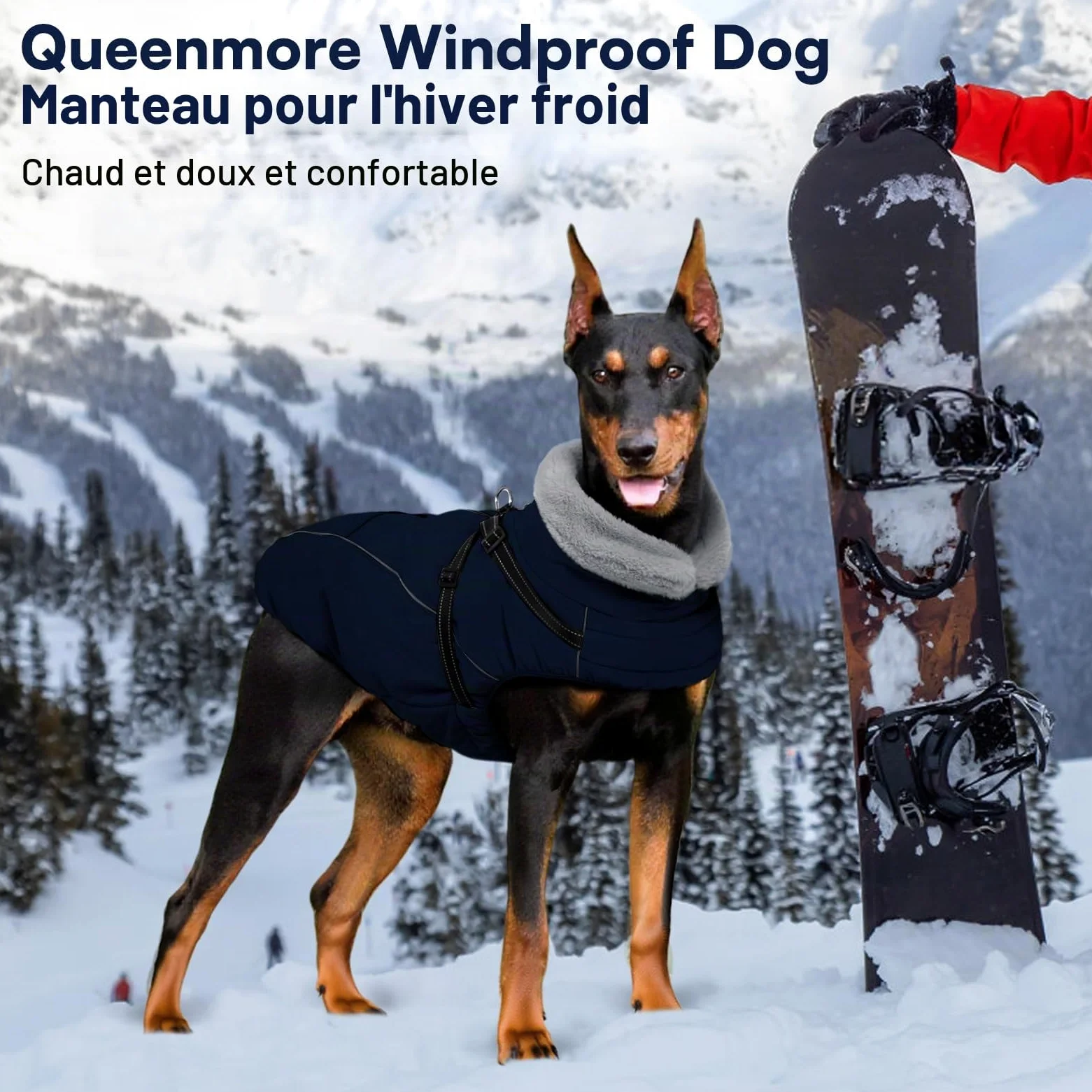 Manteau Chien Hiver avec Harnais, Manteaux Imperméables pour Chiens, Veste avec Harnais, Bouledogue Français/Cocker Spaniel/Lévrier