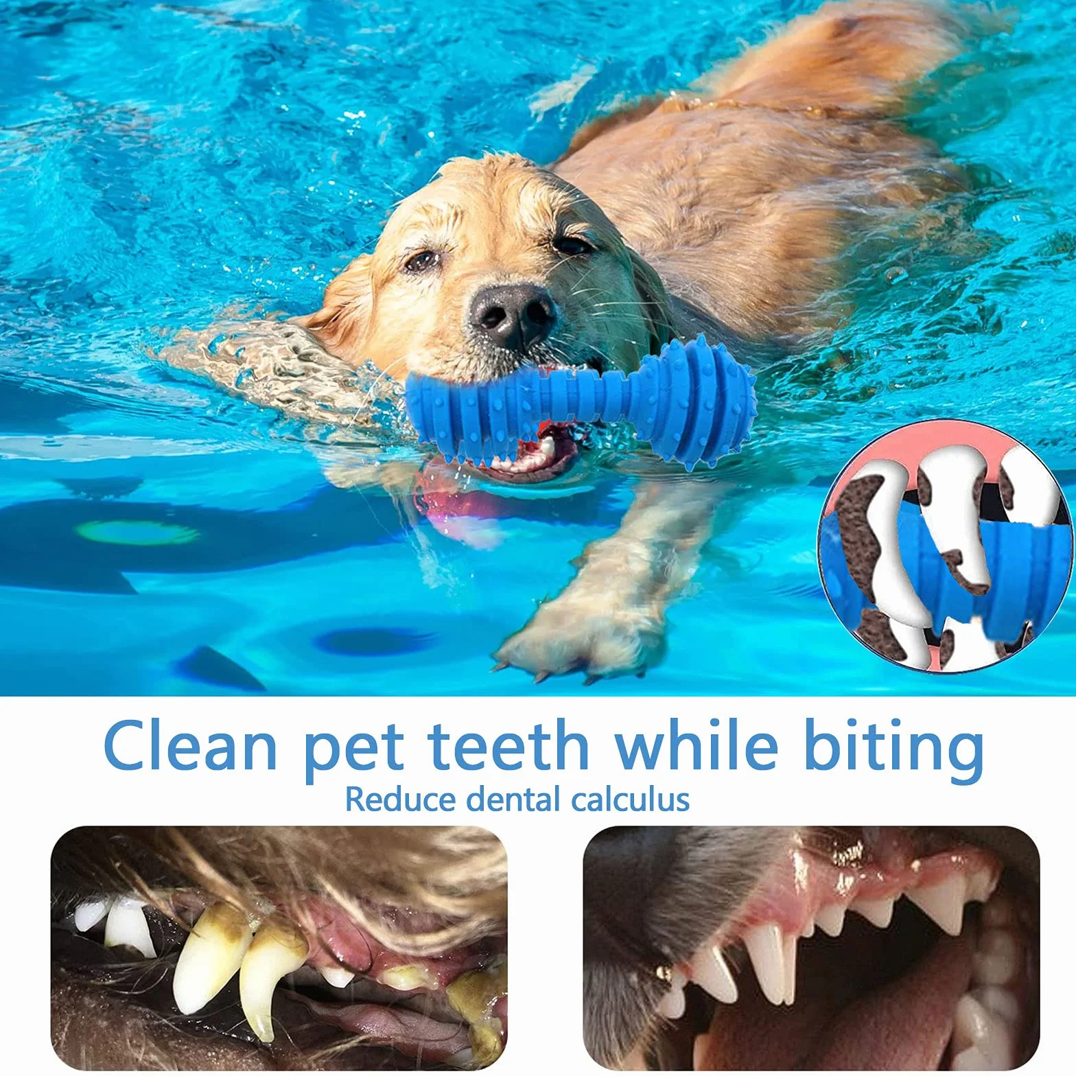 Ensemble de Jouets durables pour Chiens - Corde Jouet Solitude Petits et Moyens Chiens Cadeau Coton Naturel Non Toxique (Bleu)