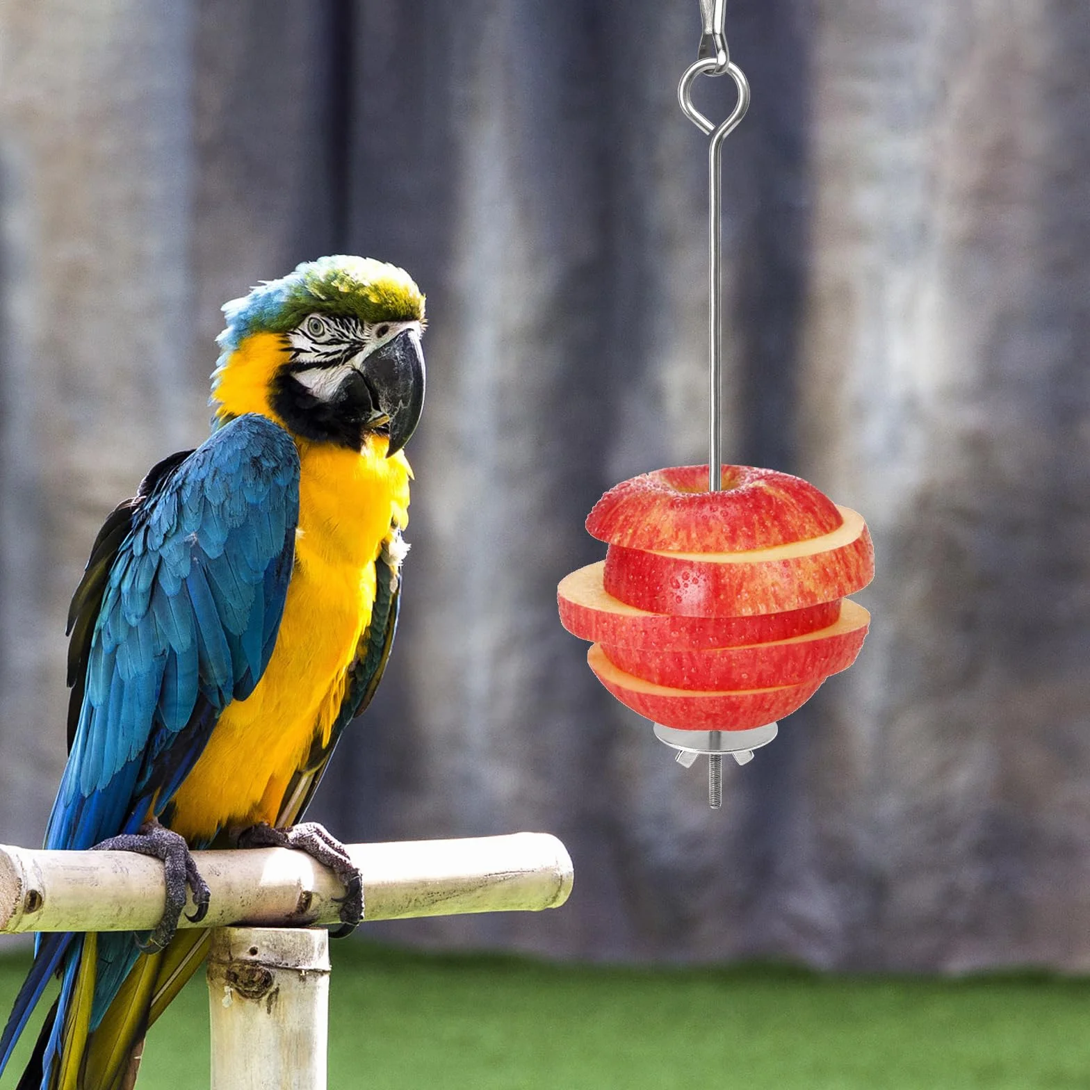 Mangeoire pour oiseau en acier inoxydable 3 pièces brochette de légumes et fruits