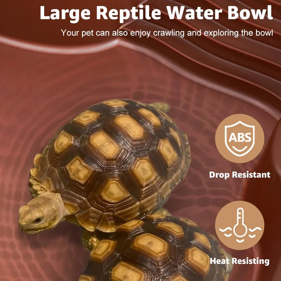 Grand Bol d'Eau et de Nourriture pour Reptiles, Gamelle Reptile Accessoire Terrarium pour Tortue et Lézard