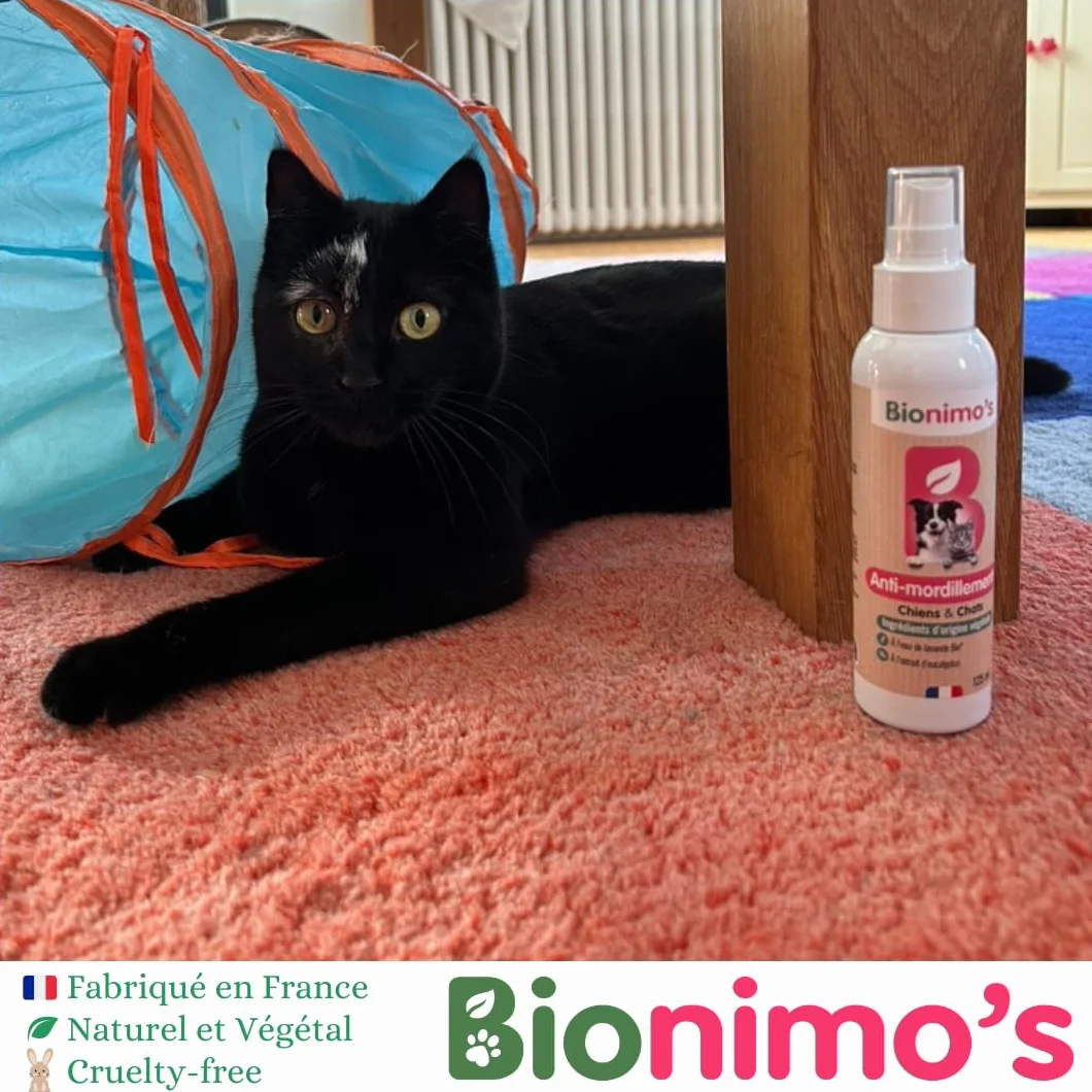 Spray Anti-Mordillement Chiens & Chats Bionimo, Naturel et Végétal, Eucalyptus, Eau Lavande Bio, 100% Français