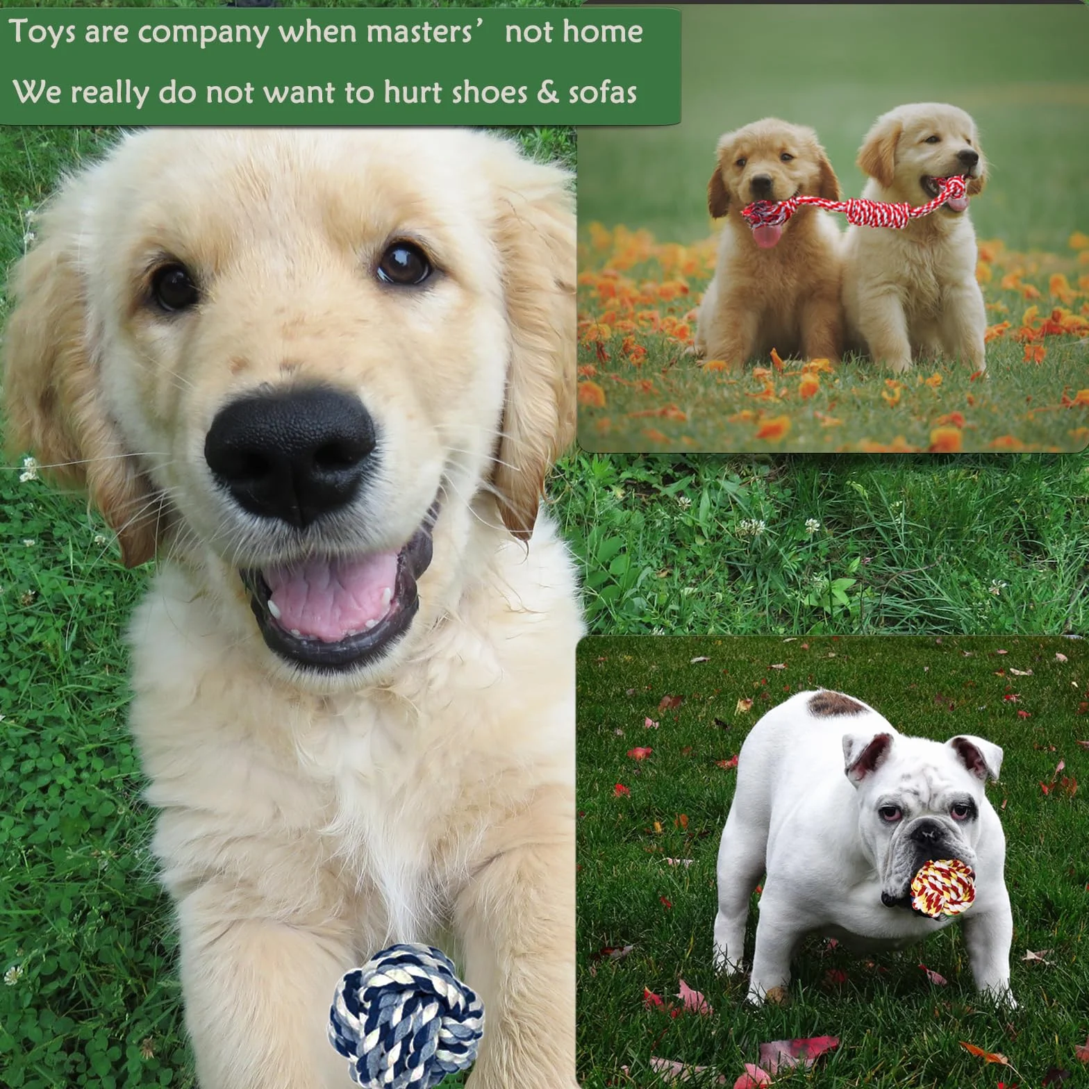 Lot de 15 Jouets en Corde pour Petits Chiens, Jouets à Tirer pour Chiots, Dentition et Interaction