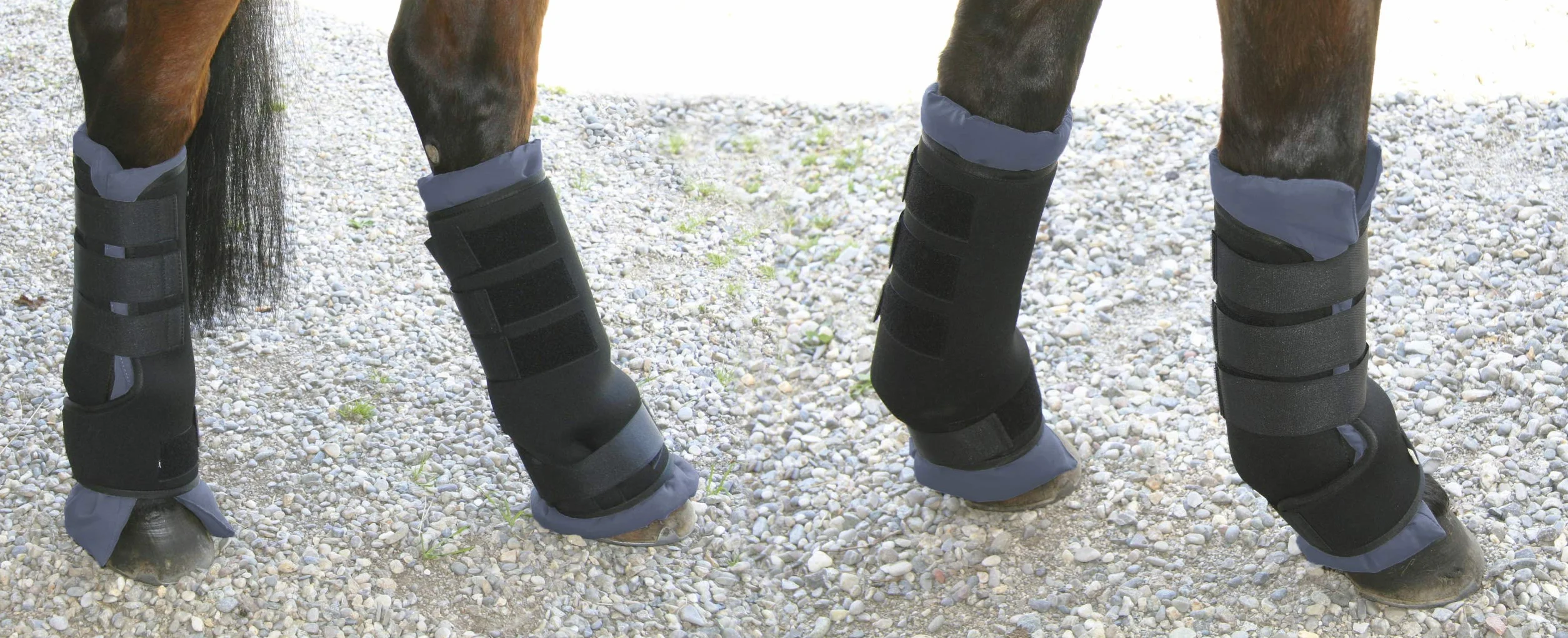 Kerbl Guêtres de Transport Néoprène pour Cheval Noir