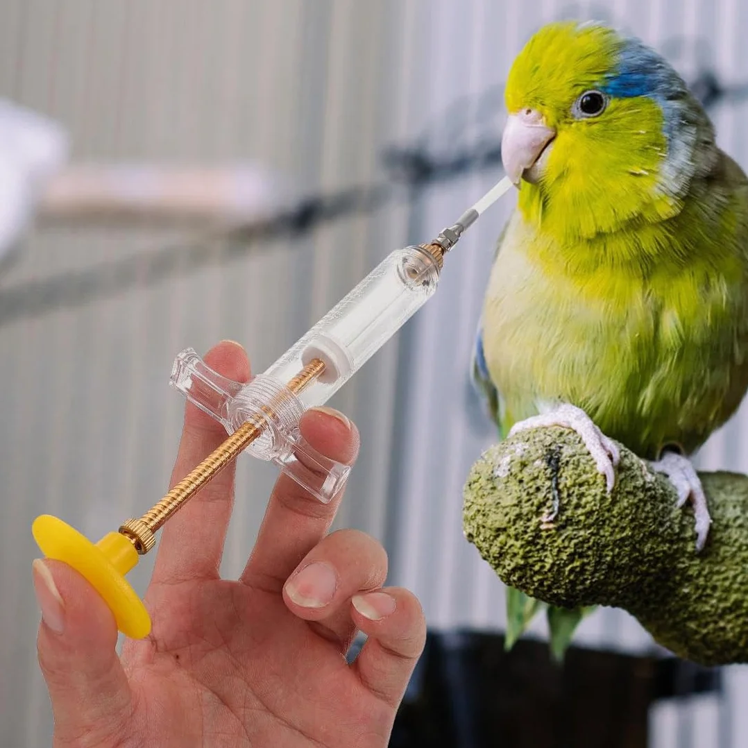 Lot de 2 Seringue d'alimentation pour oiseaux malades avec 4 tubes d'alimentation 10 ml