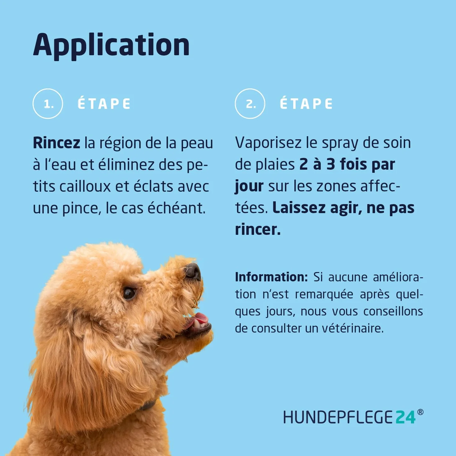 Spray Antiseptique Chien Chat 125ml - Désinfecte Apaise Soigne Protège Blessures Cicatrisant