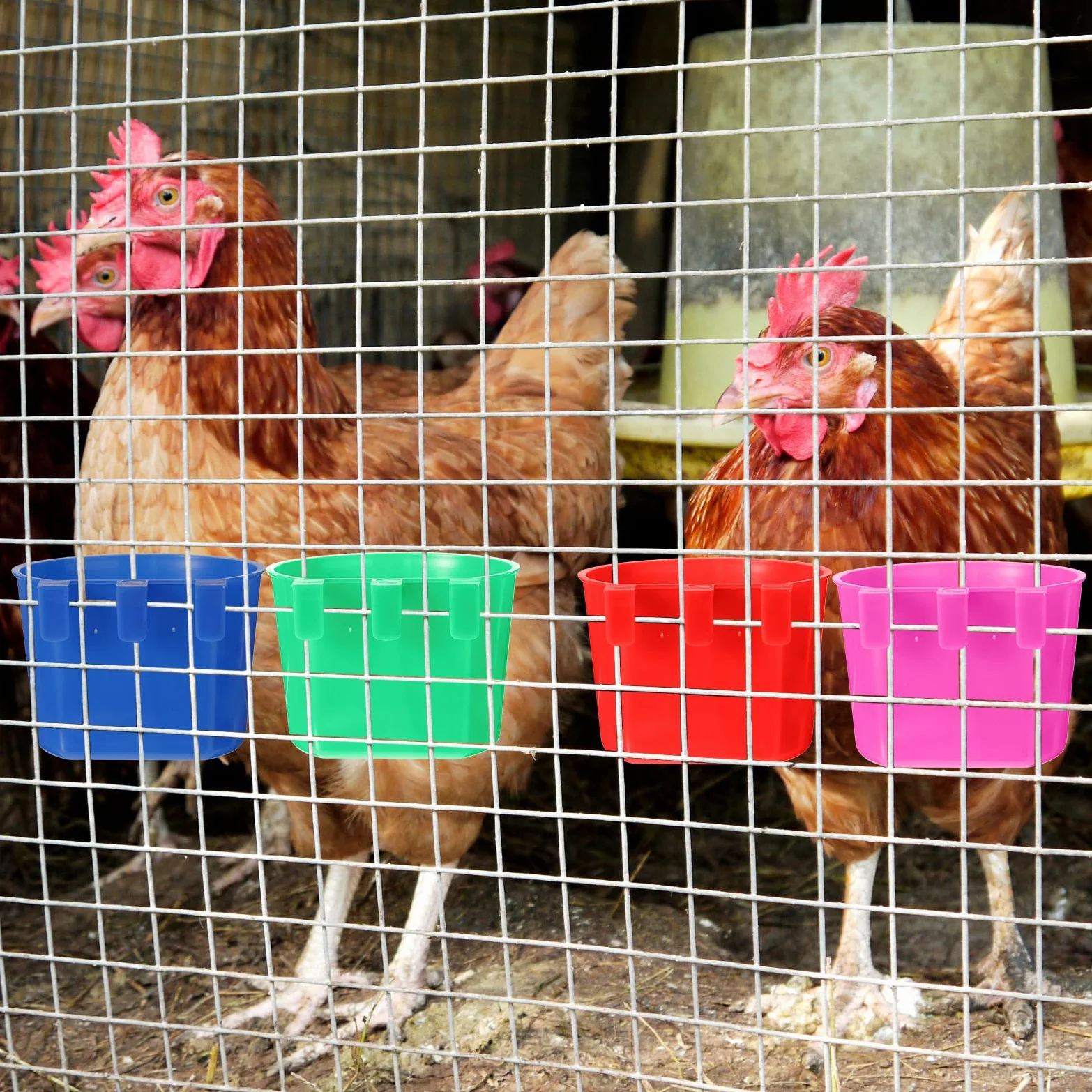Lot de 100 mangeoires pour poulet - 236,8 g - À suspendre - Pour nourriture et eau - Pour volaille, animal domestique, perroquet, perruche, pigeon (bleu, rouge, rose rouge, vert)