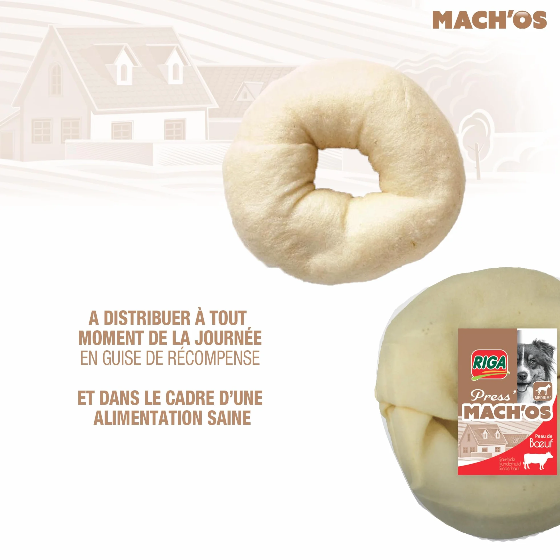 Riga - Mach'os - Donut Soufflé Blanc - Friandise pour Chien - Peau De Buffle - Riche en Protéines - Hygiène Buccale - Mastication Et Récompense - pour Moyen Chien - 75G