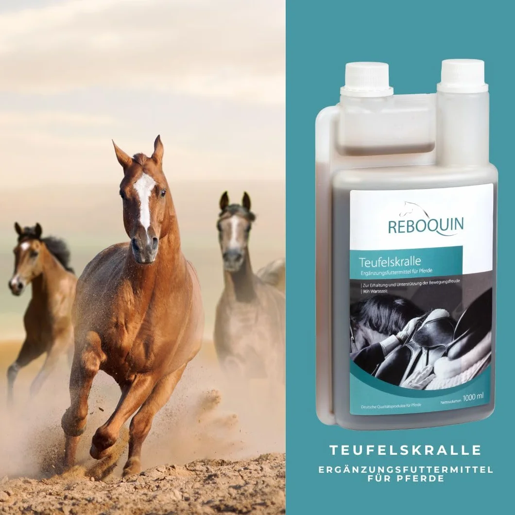 Rebopharm ReboQuin Griffe du diable 1 litre Santé articulaire chevaux Arthrose Inflammation Gonflement