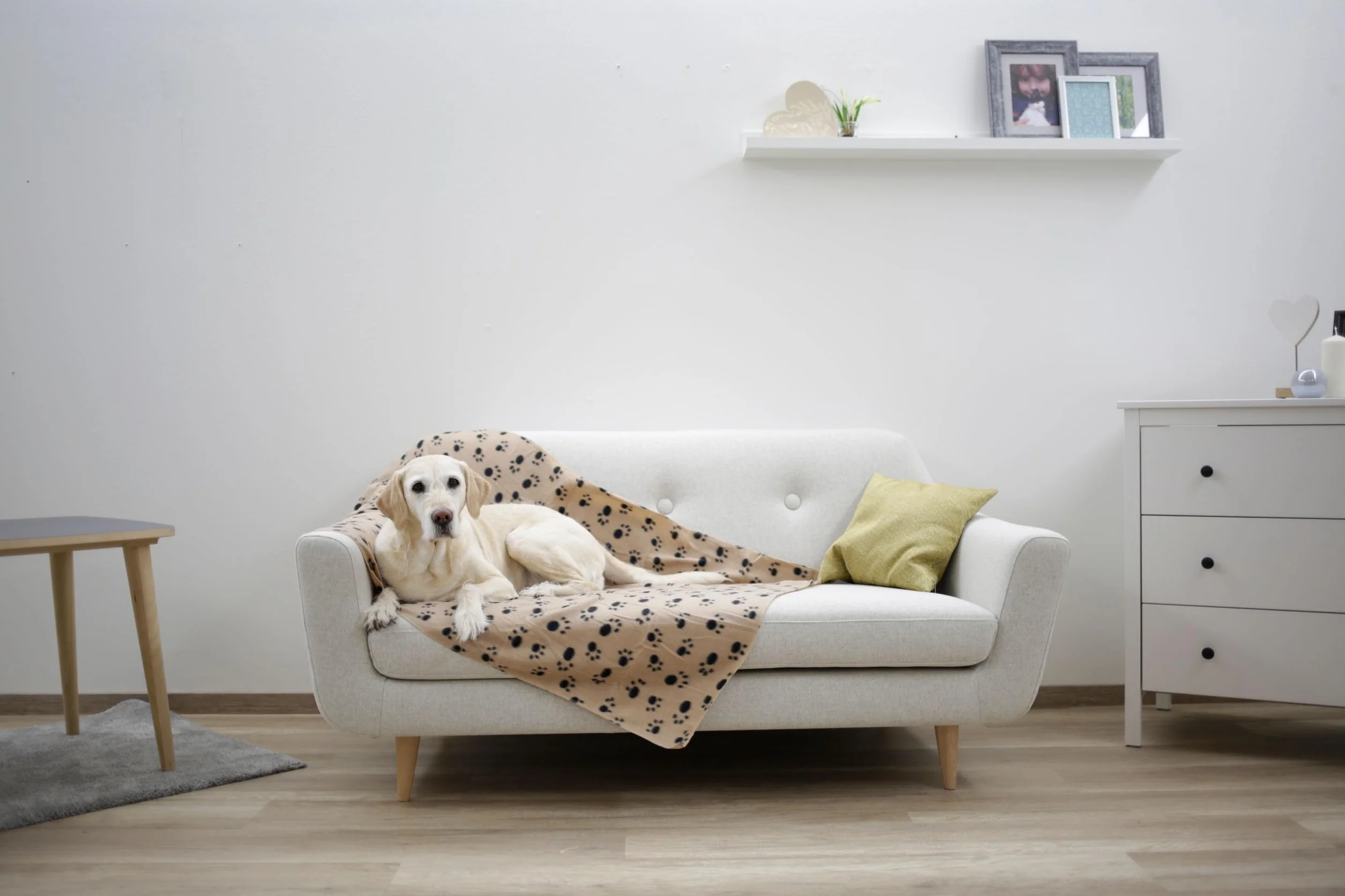 Kerbl Couverture pour Chien Stella Beige Motif Pattes 140 x 100 cm Polaire Moelleuse