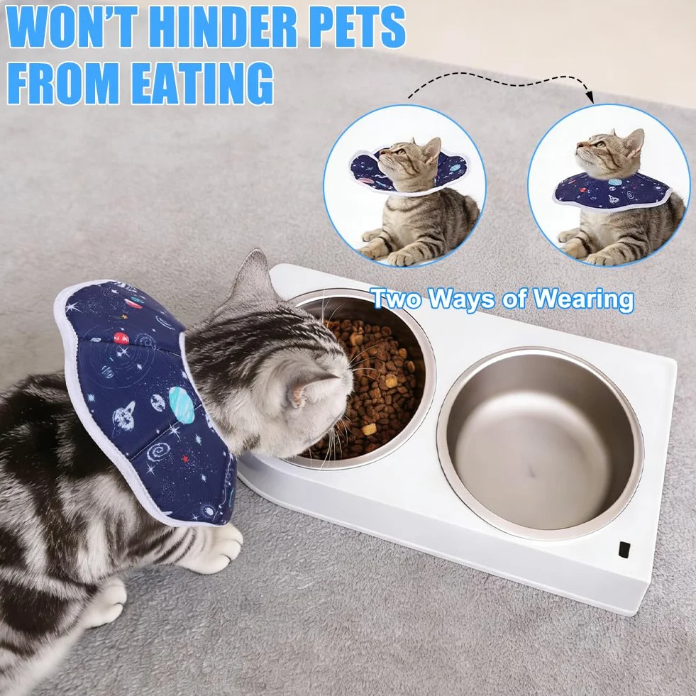 Collier de Protection Chat S Tour de Cou 16–23 cm Ajustable Anti-mordillement Post-opératoire