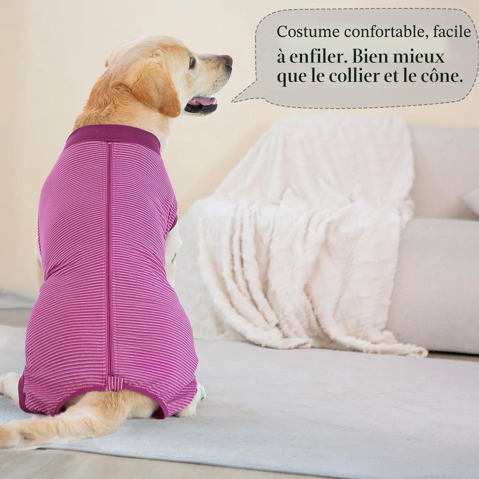 Combinaison Chien Post Operatoire Femelle Male Body Stérilisation Fuchsia