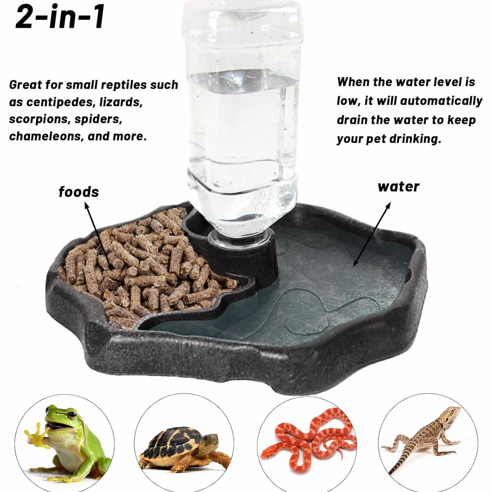 Bol à Eau pour Reptile 2 en 1 Mangeoire Gamelle Tortue pour Tortues, Hamsters, Lézards