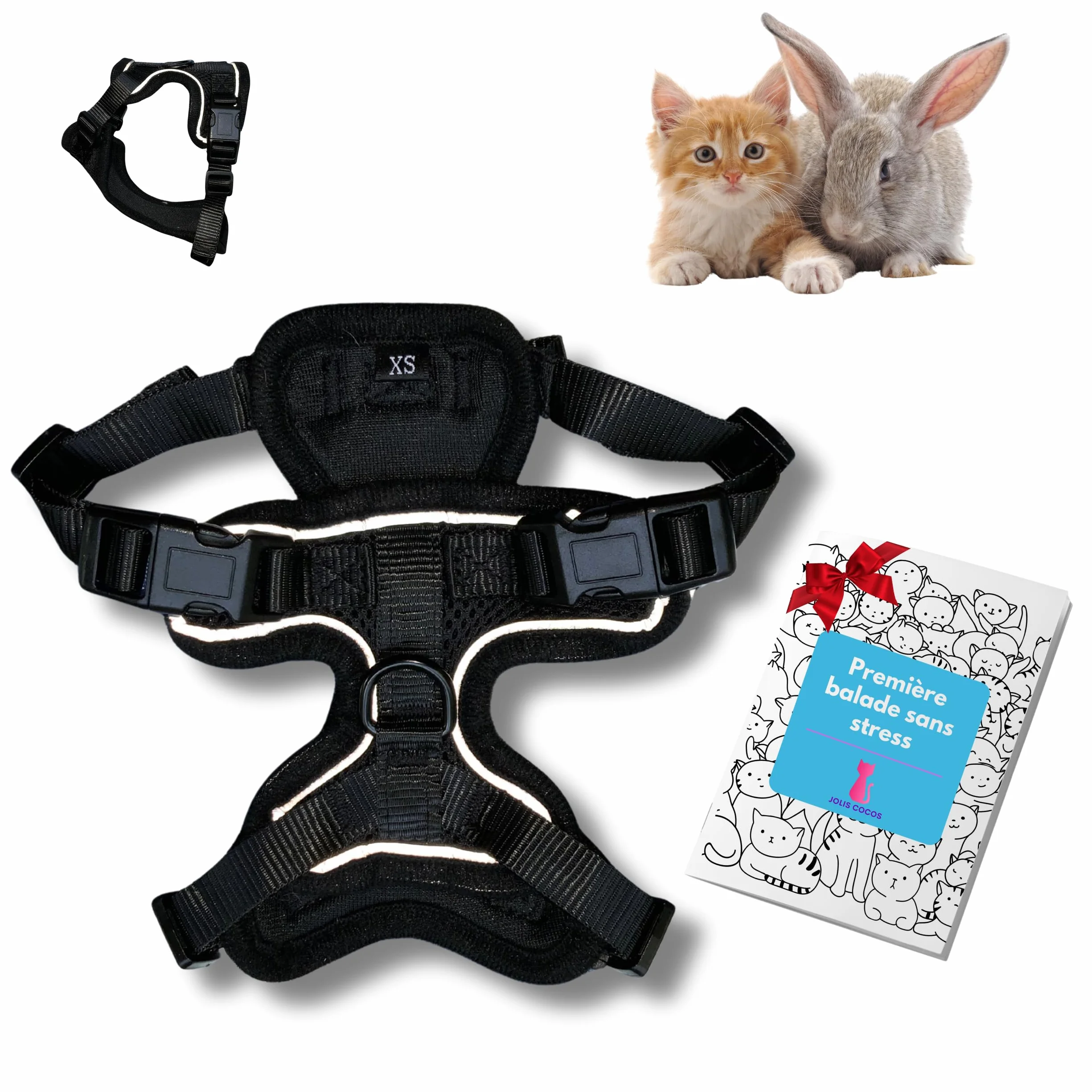 Harnais et Laisse pour Chat ou Lapin avec Guide Première Sortie, Accessoire Réglable Réfléchissant, Anti-Fugue