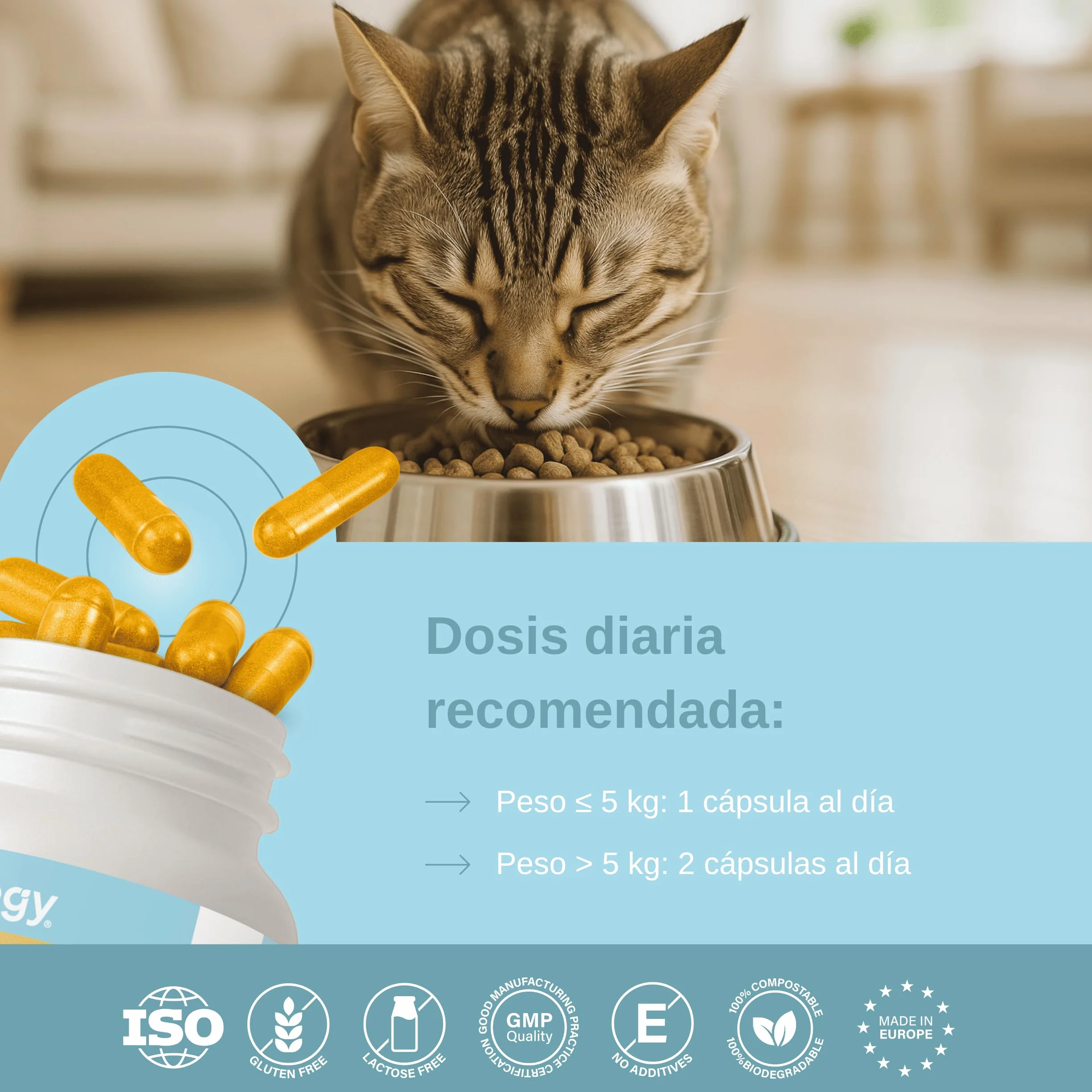 Chondroprotecteur chats anti-inflammatoire naturel collagène chondroïtine hyaluronique curcuma complément alimentaire articulations 120