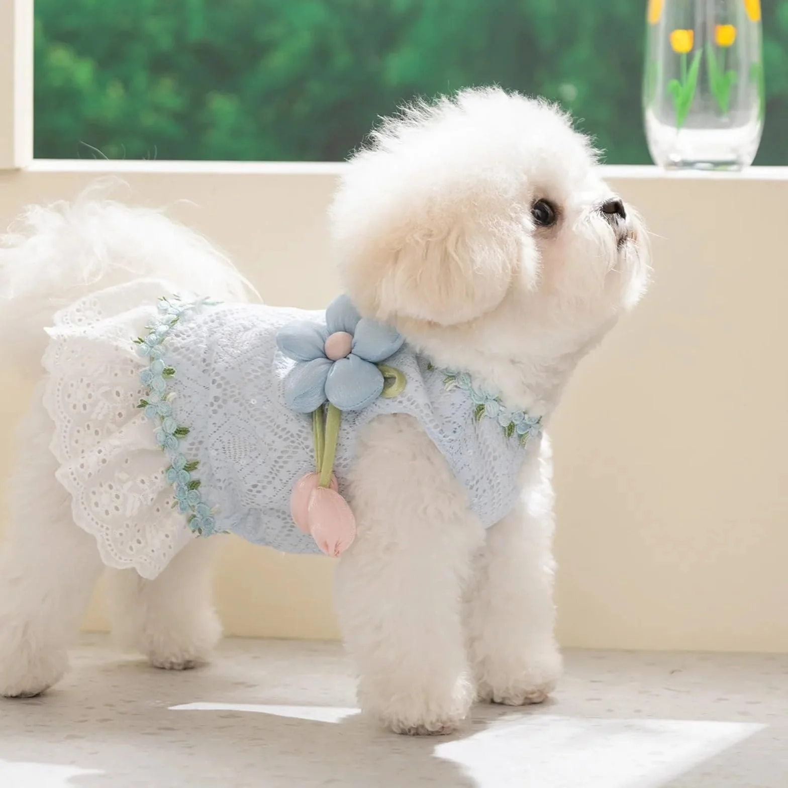Robe Teddy à Fleurs Bleues pour Petit Chien, Pull Fin de Campagne, Jupe Respirante pour Animaux de Compagnie XL