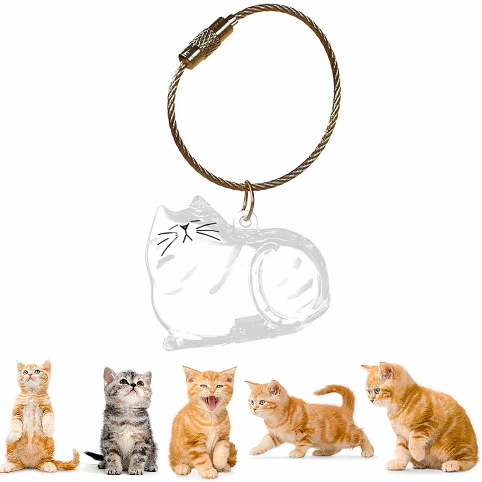 Porte-Clés en Acrylique Transparent pour Poils de Chat, Souvenir Fourrure Animaux