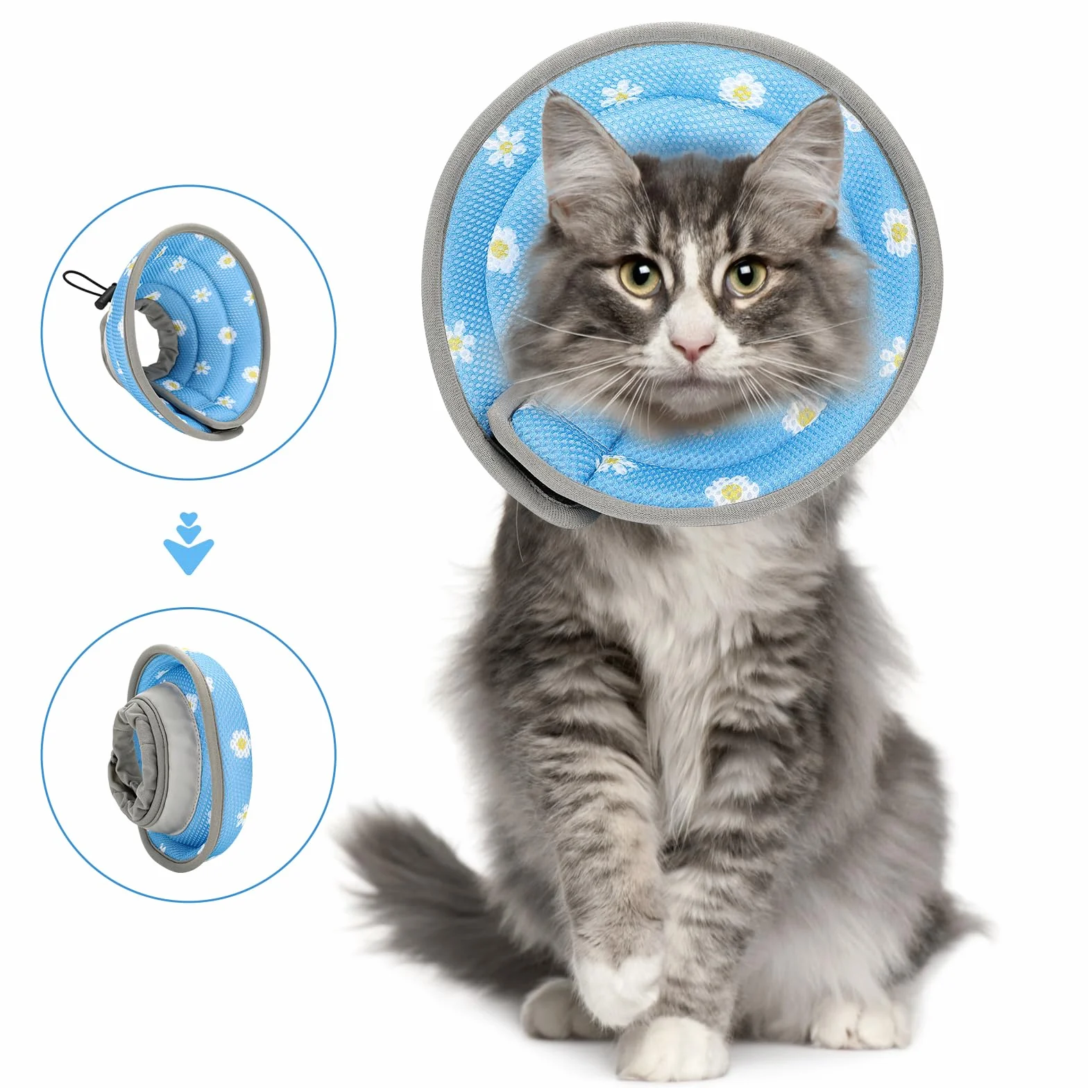 HAPPY HACHI Collerette Anti Lechage Réglable pour Chat Chien Chirurgie Protection Cône Élisabeth Souple Léger